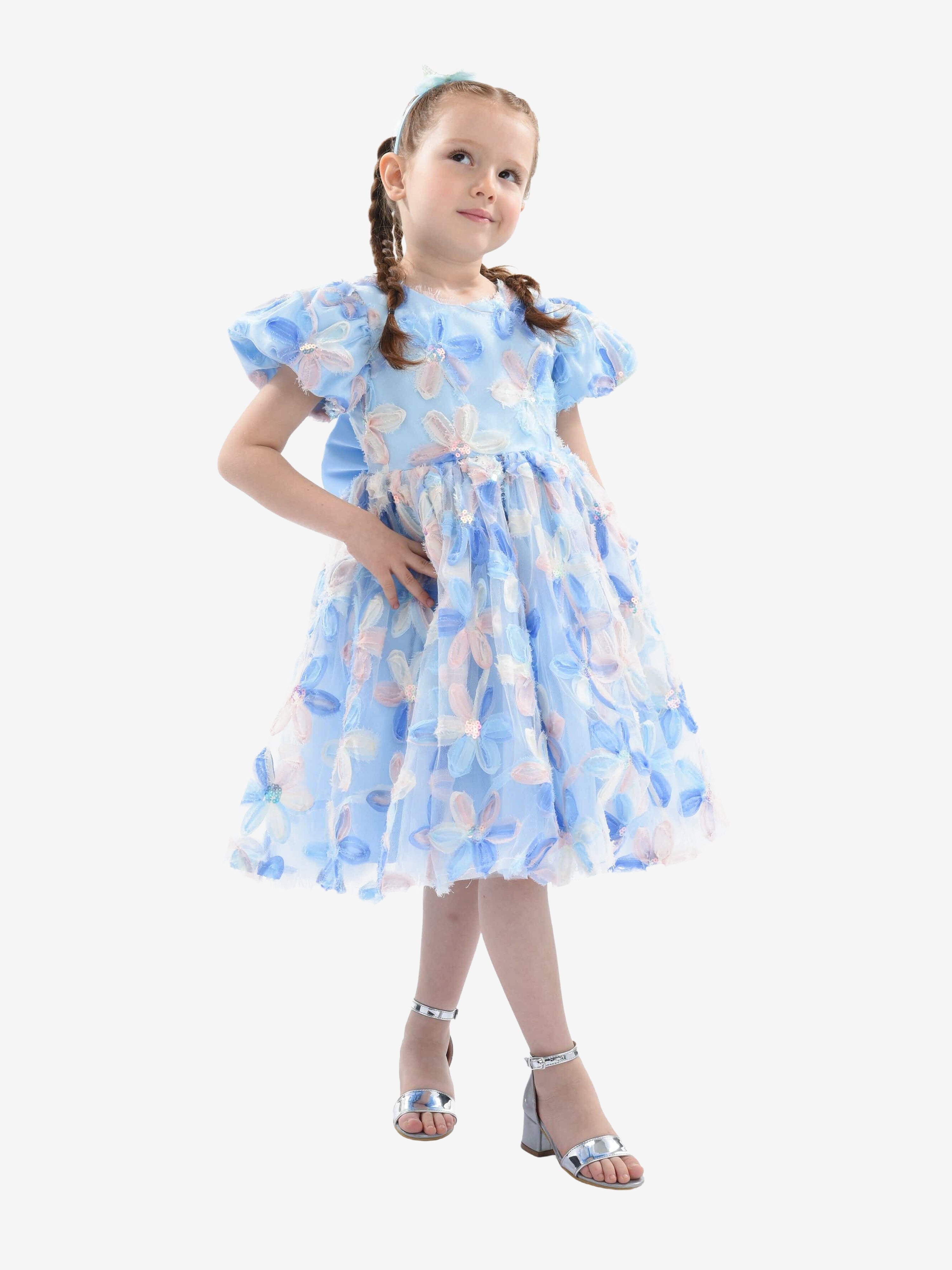 Blue Daisy Party Dress