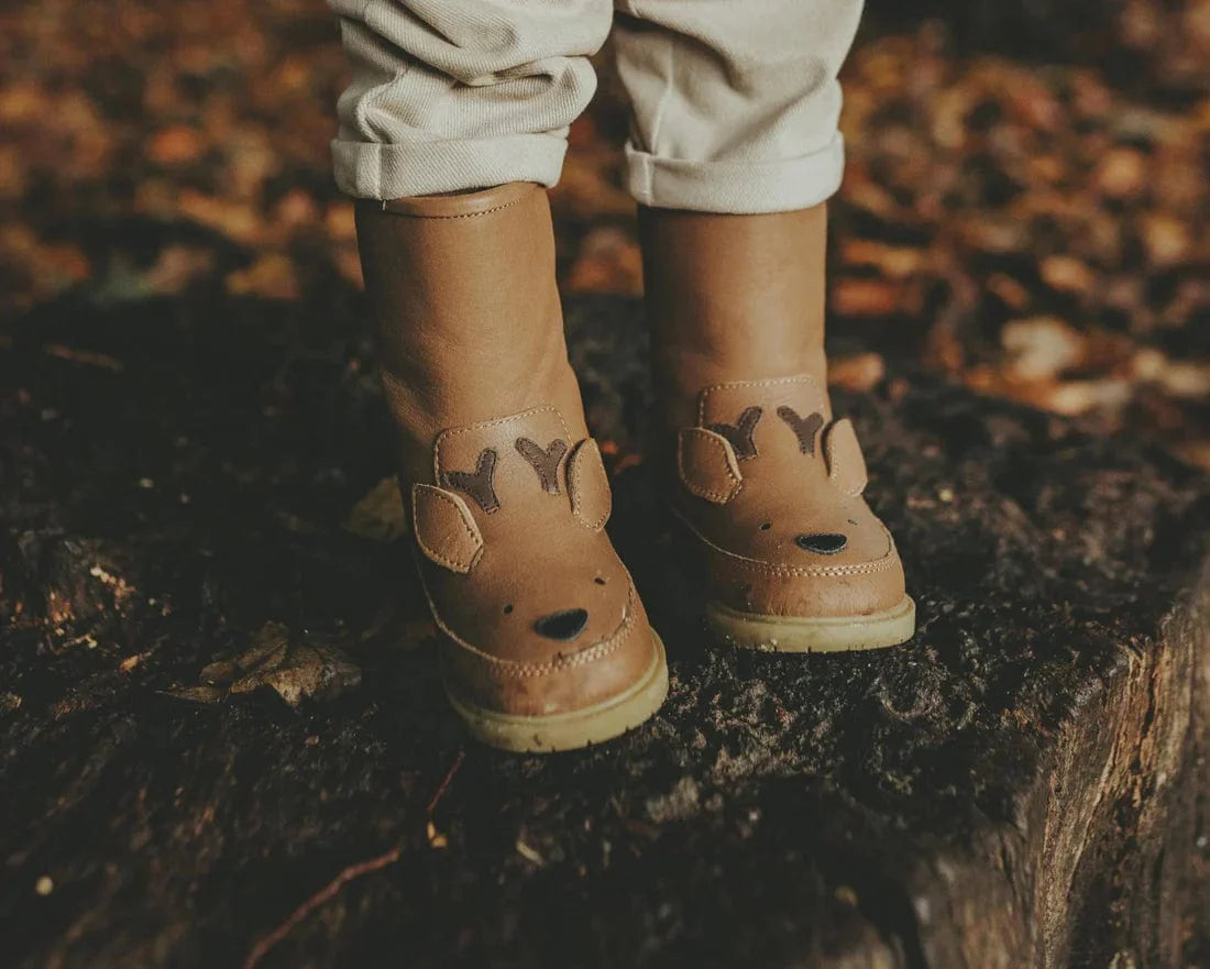 Boys Wadudu Special Stag Boots in Brown