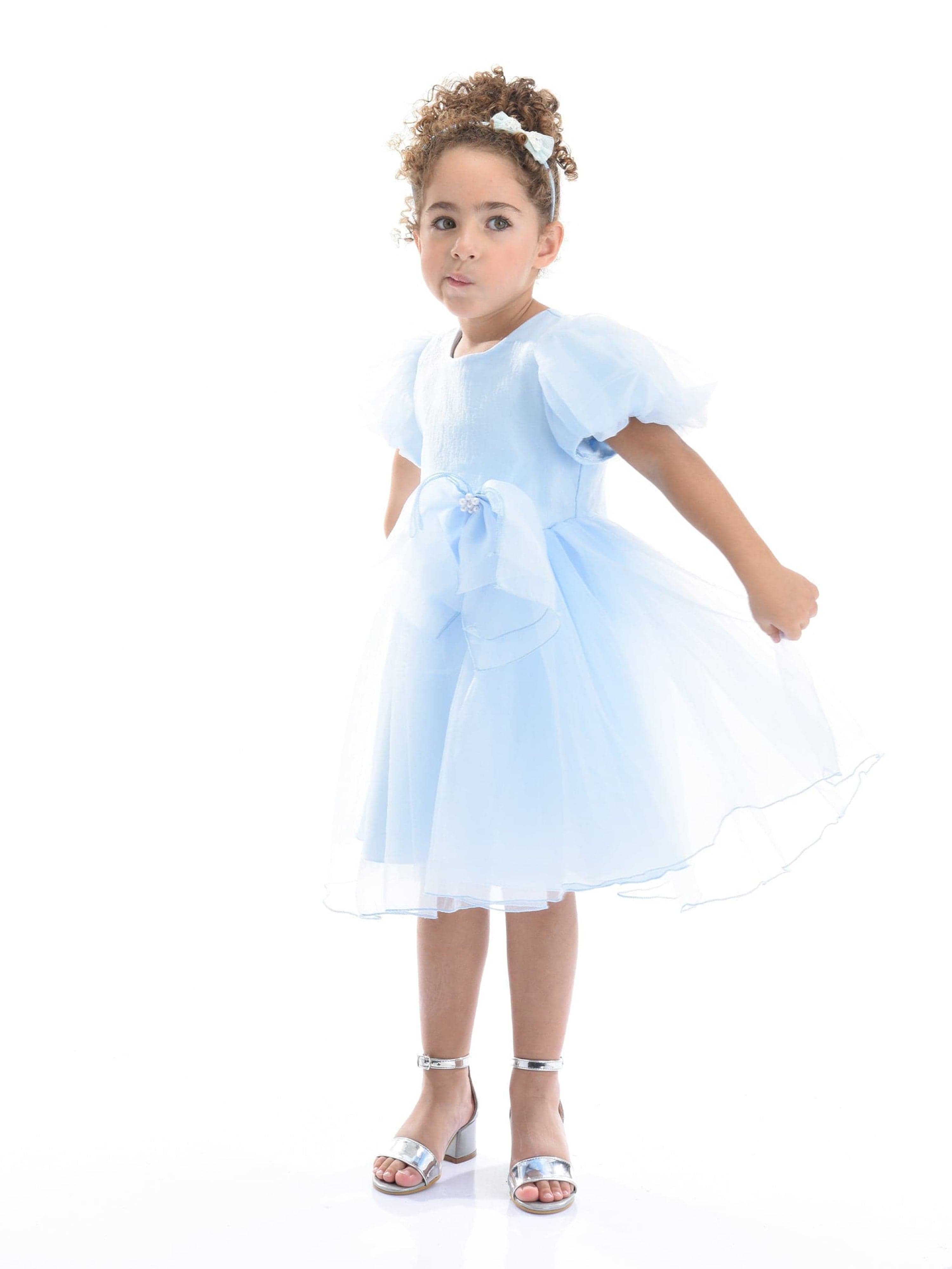 Blue Bow Organza Dress