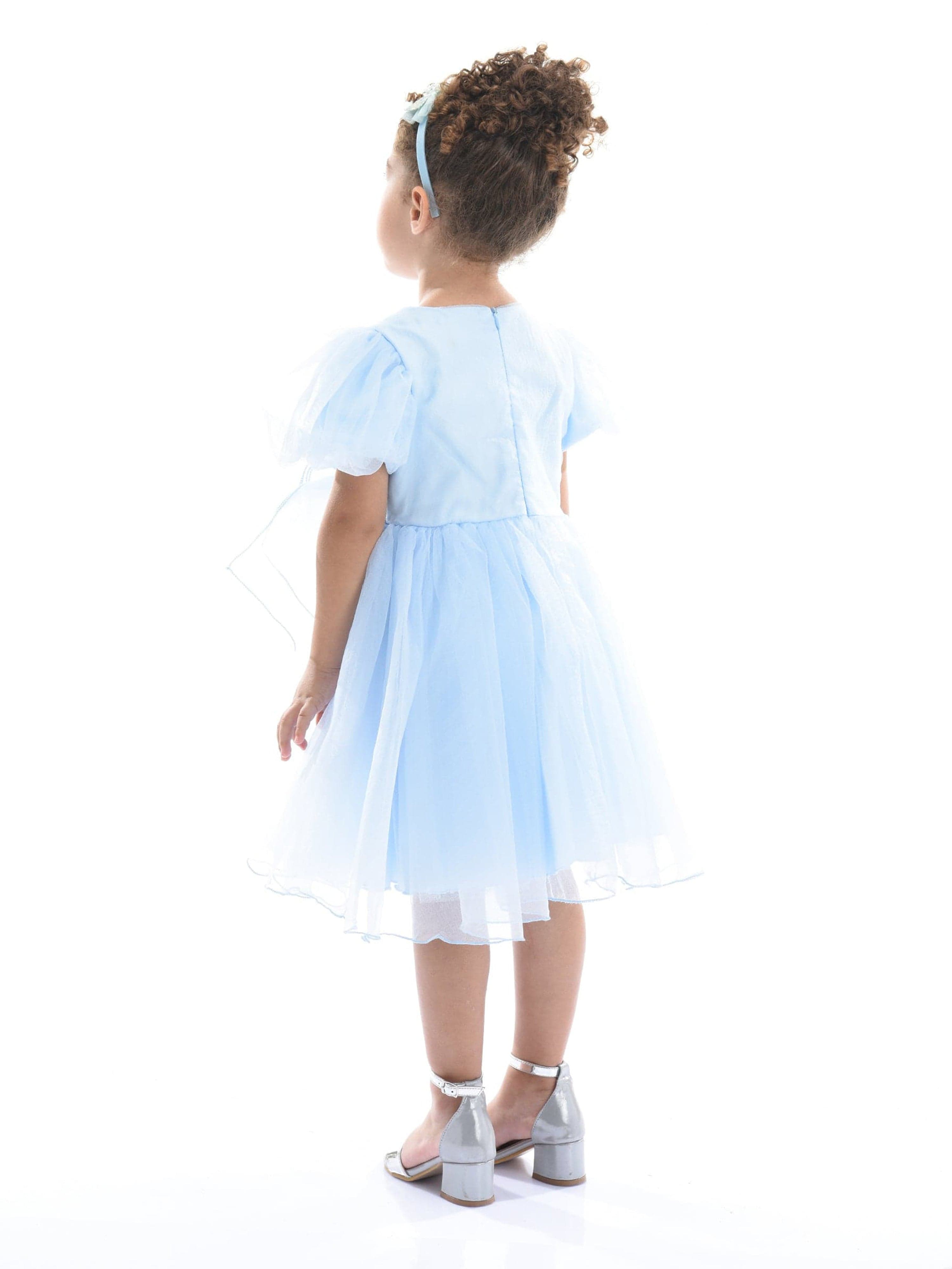 Blue Bow Organza Dress