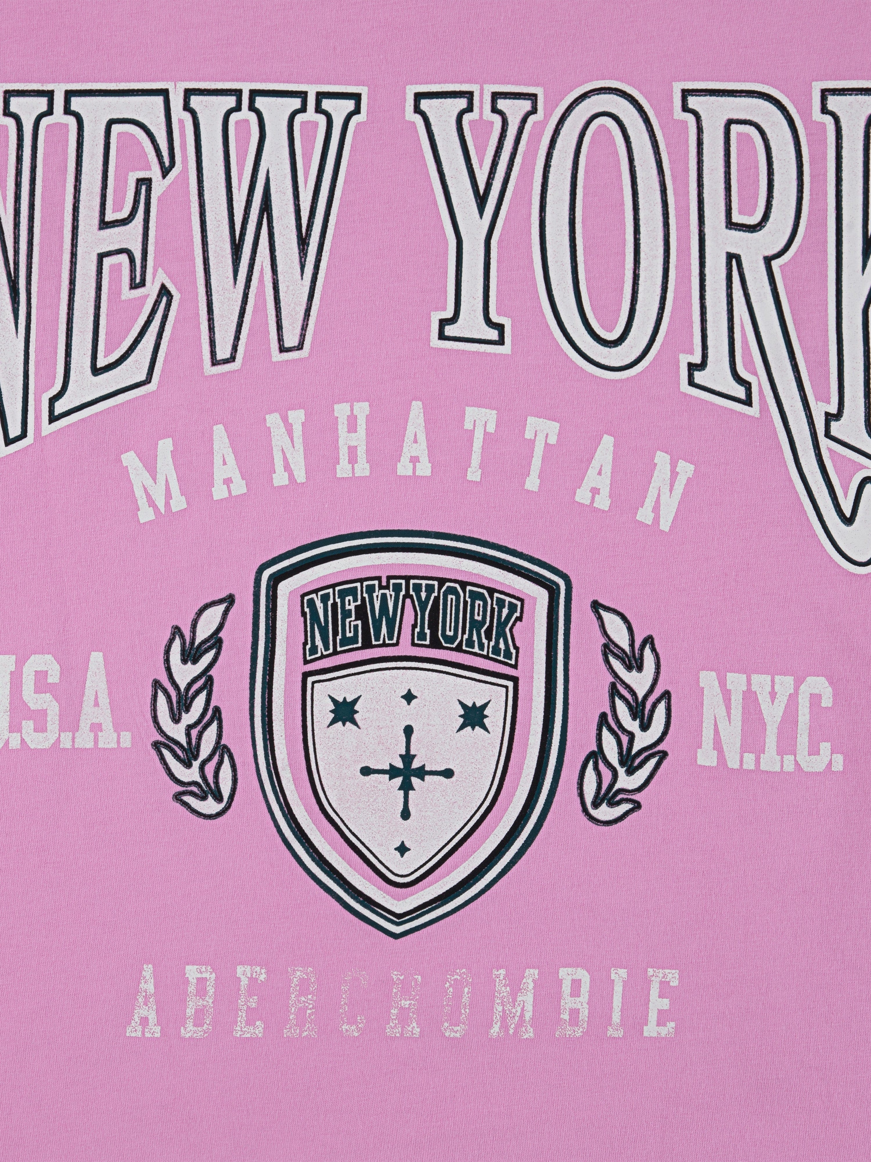 Abercrombie & Fitch Girls New York Crest Boxy T-Shirt in Pink