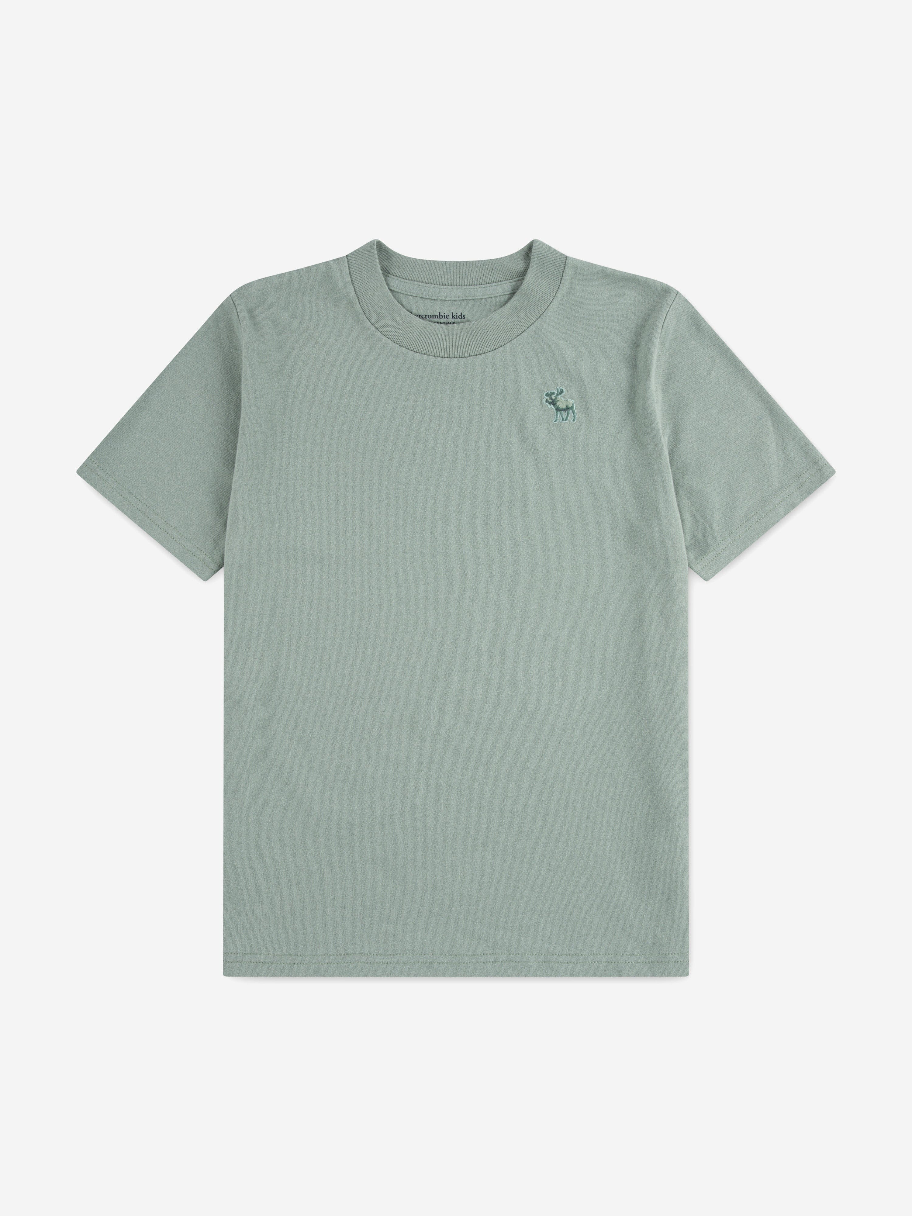 Abercrombie & Fitch Boys Essential T-Shirt in Green