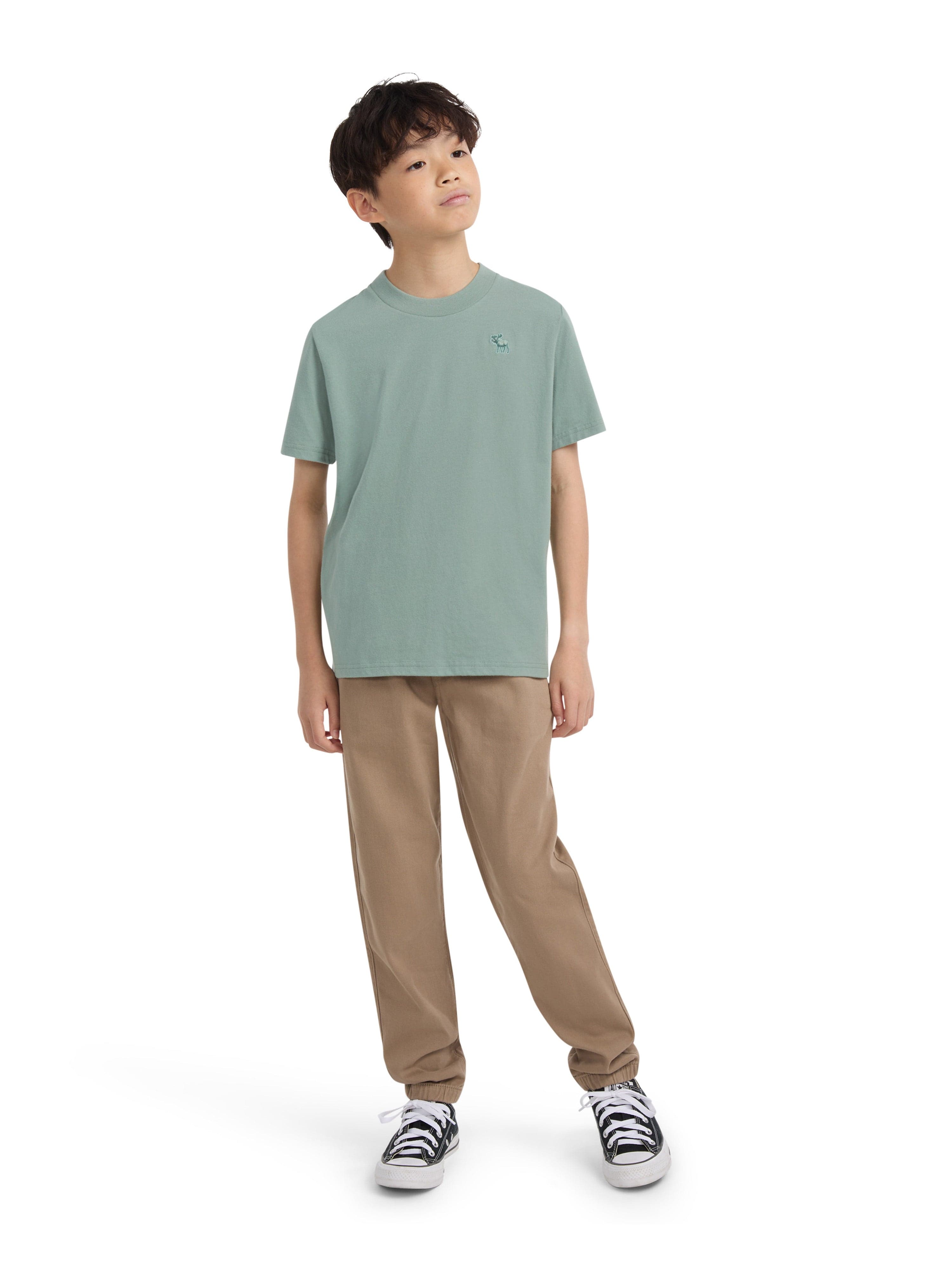 Abercrombie & Fitch Boys Essential T-Shirt in Green
