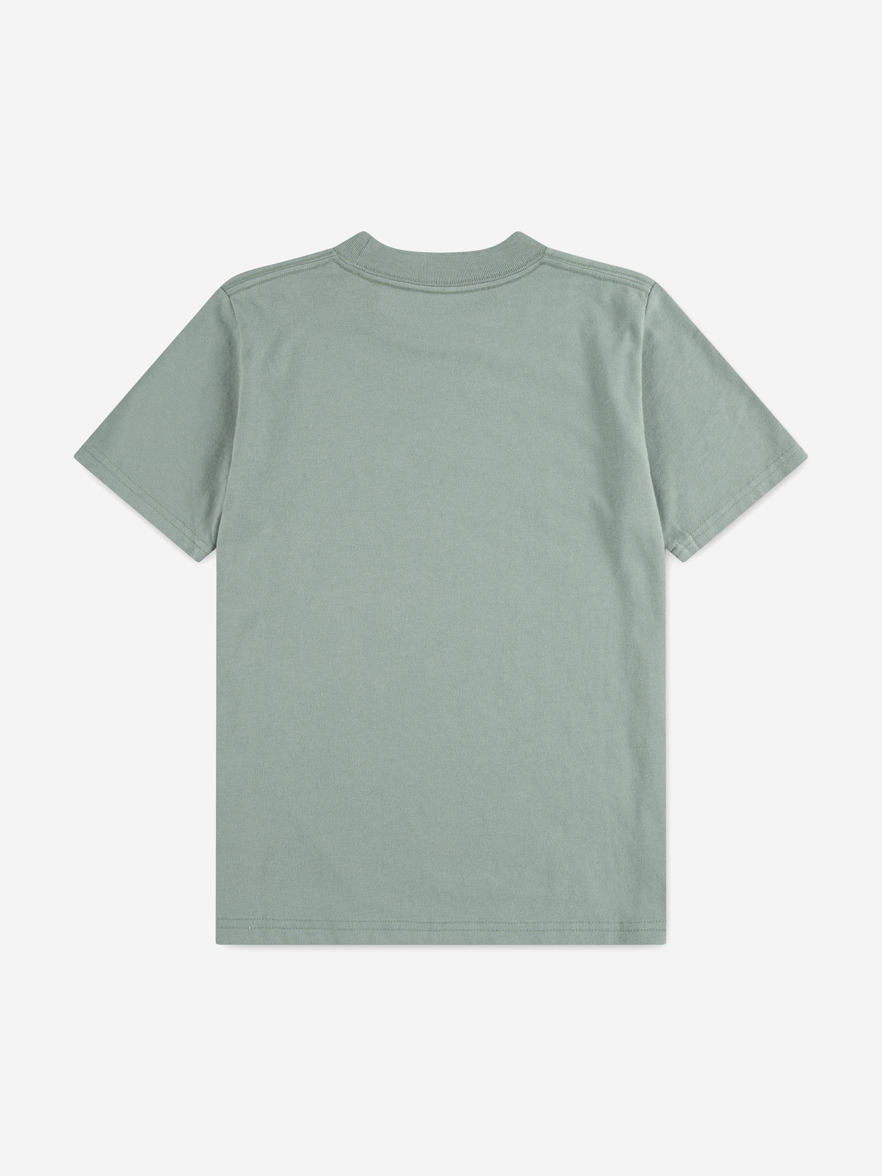 Abercrombie & Fitch Boys Essential T-Shirt in Green