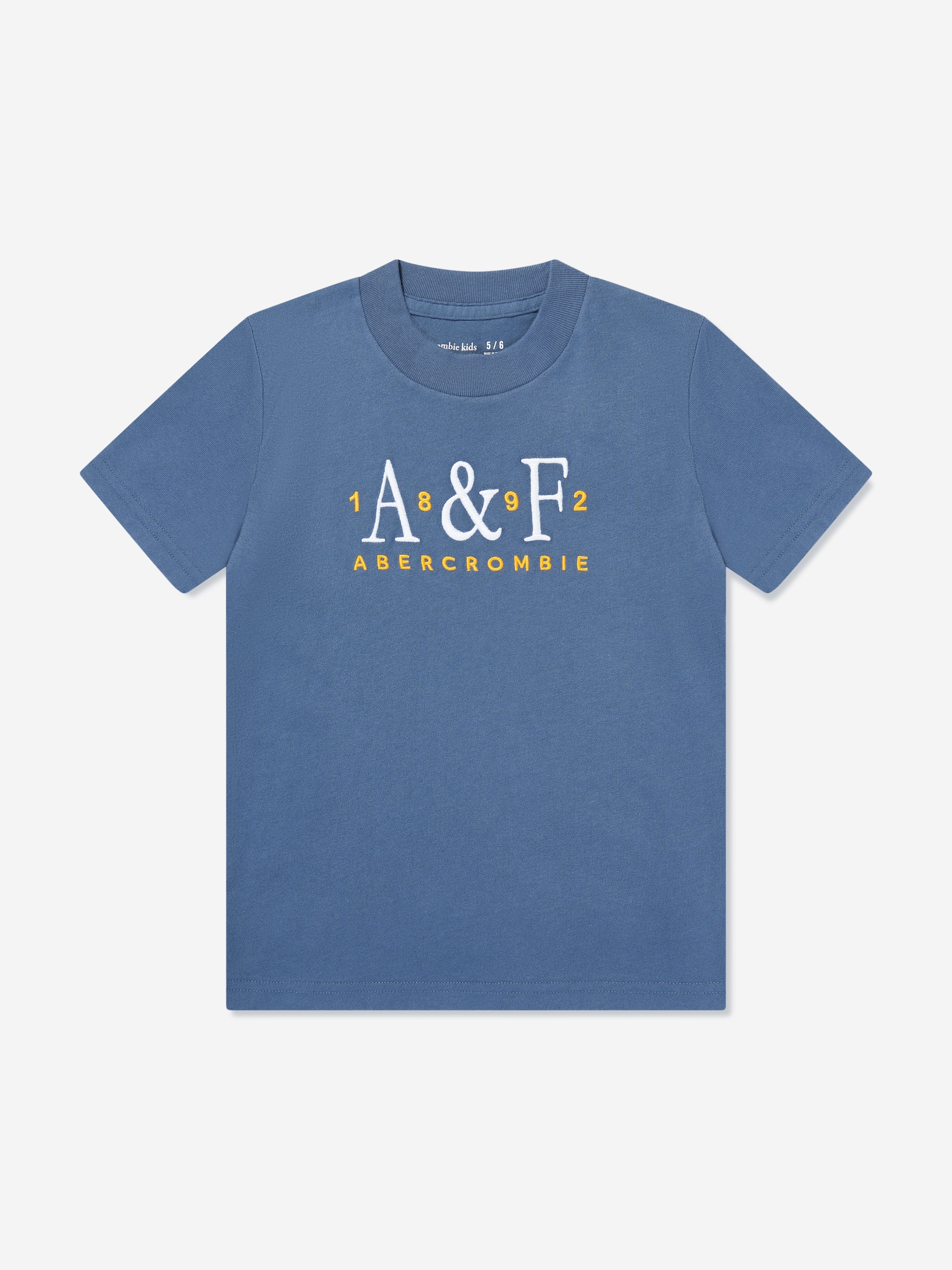 Abercrombie & Fitch Boys Signature T-Shirt in Blue