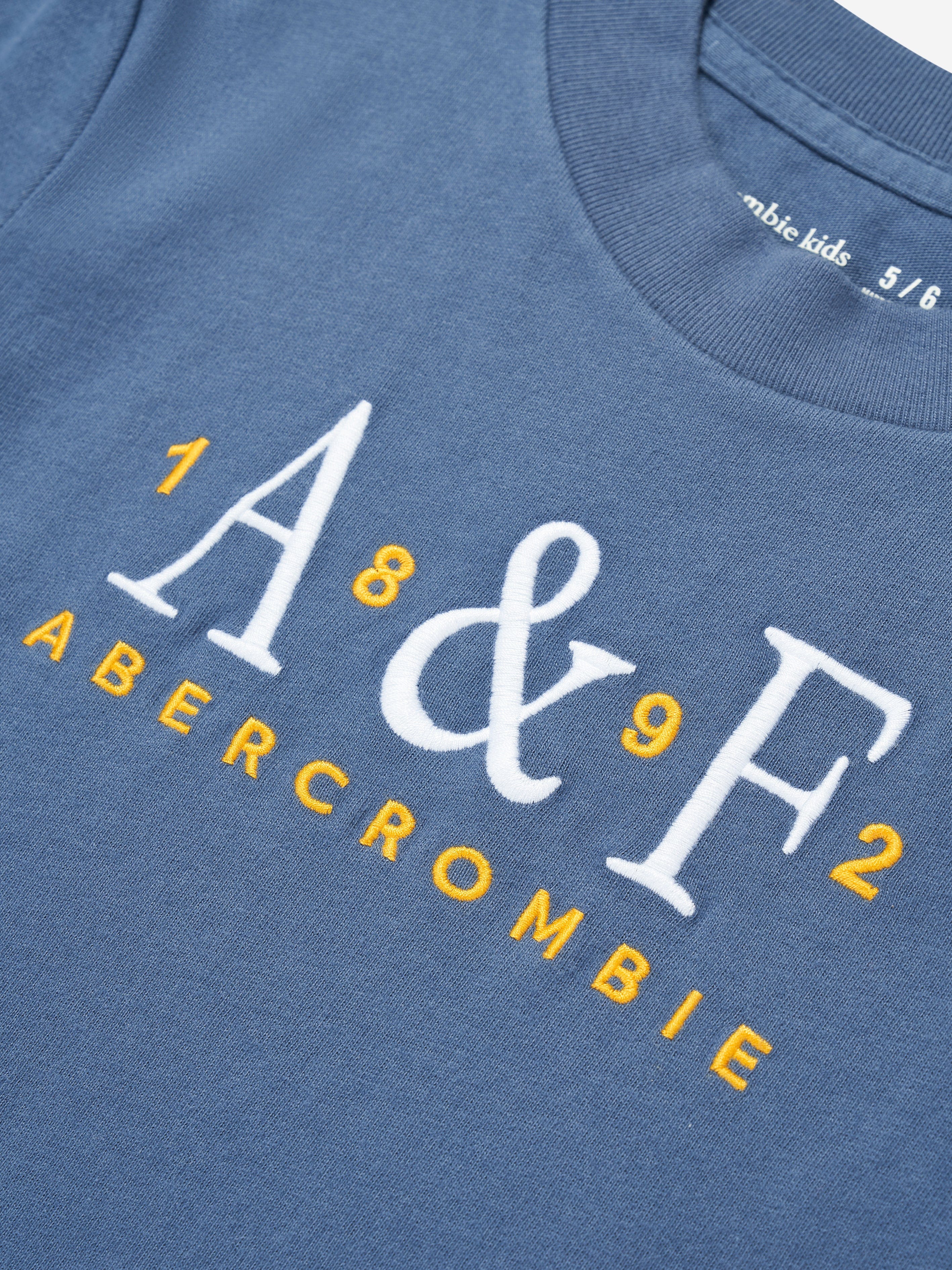 Abercrombie & Fitch Boys Signature T-Shirt in Blue
