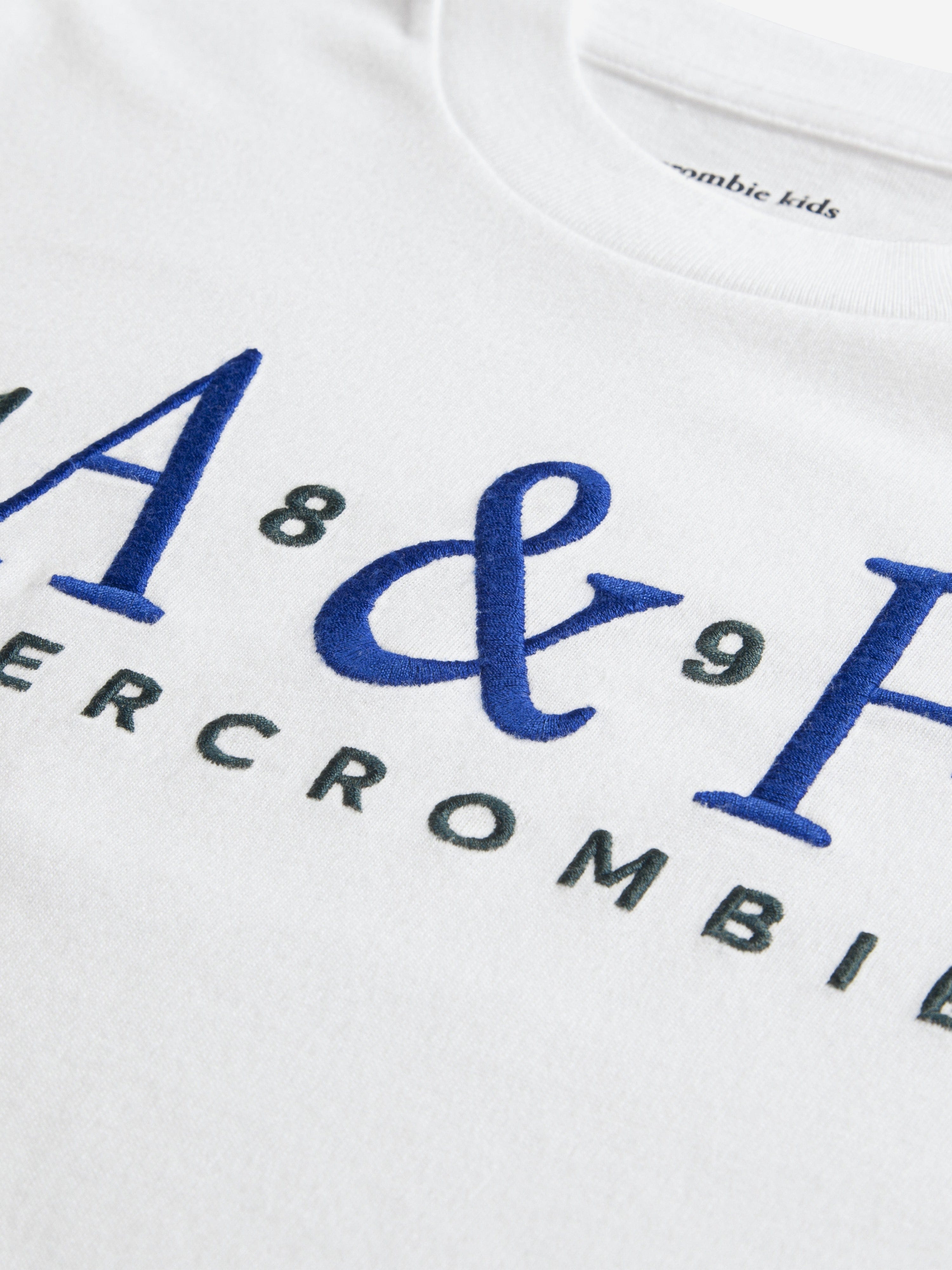Abercrombie & Fitch Boys Signature T-Shirt in White