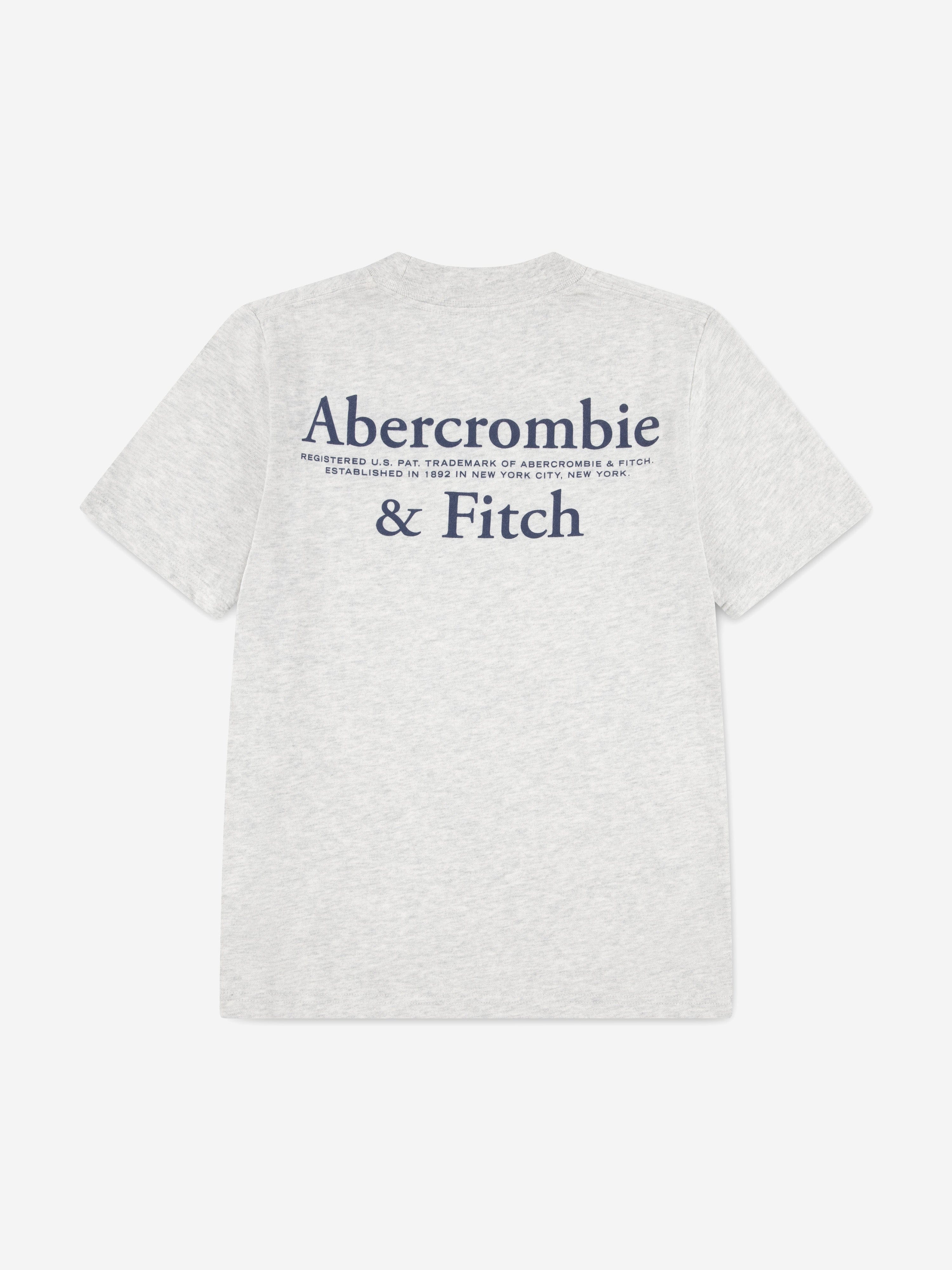 Abercrombie & Fitch Boys Foothills T-Shirt in Grey