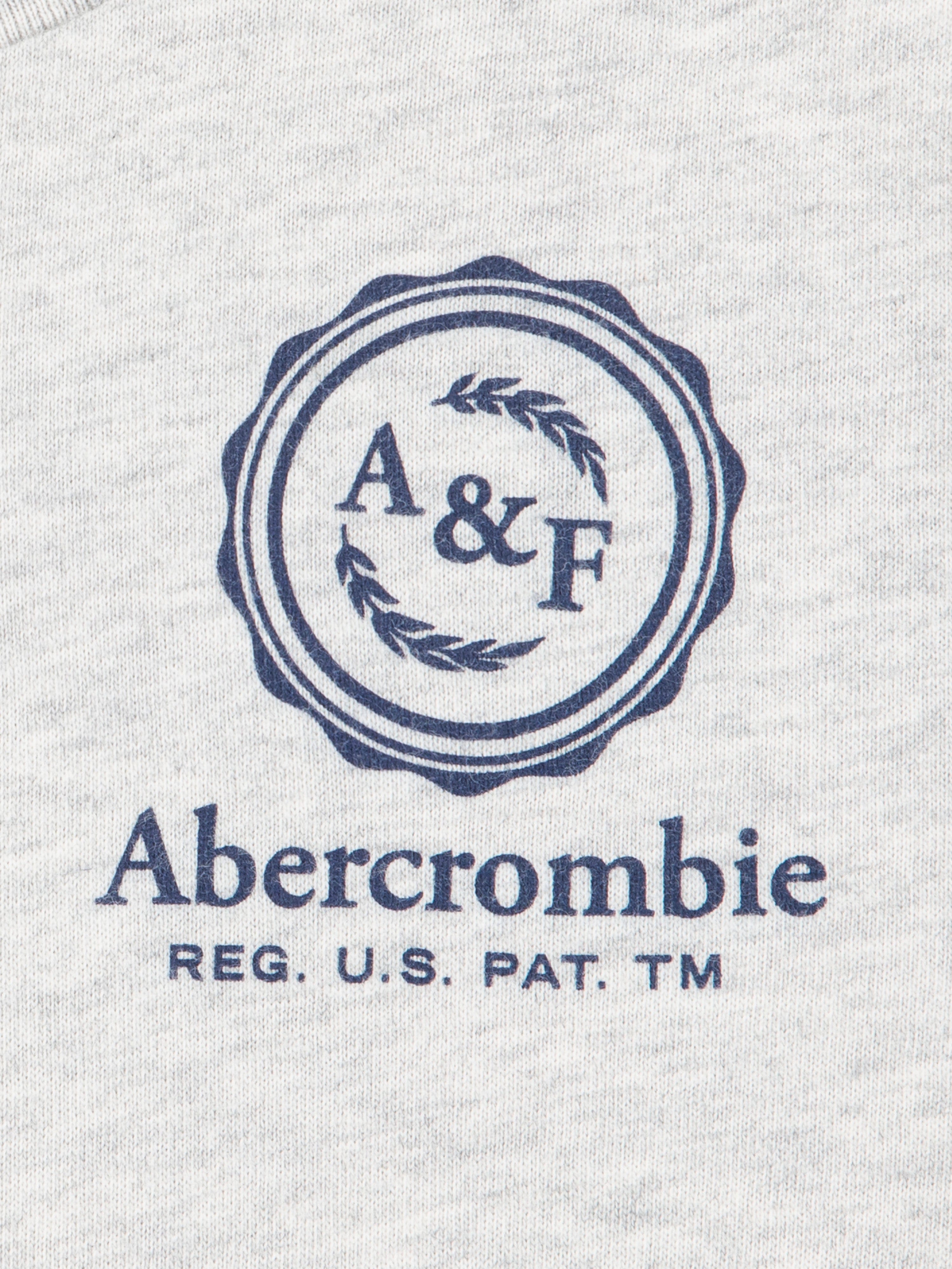 Abercrombie & Fitch Boys Foothills T-Shirt in Grey