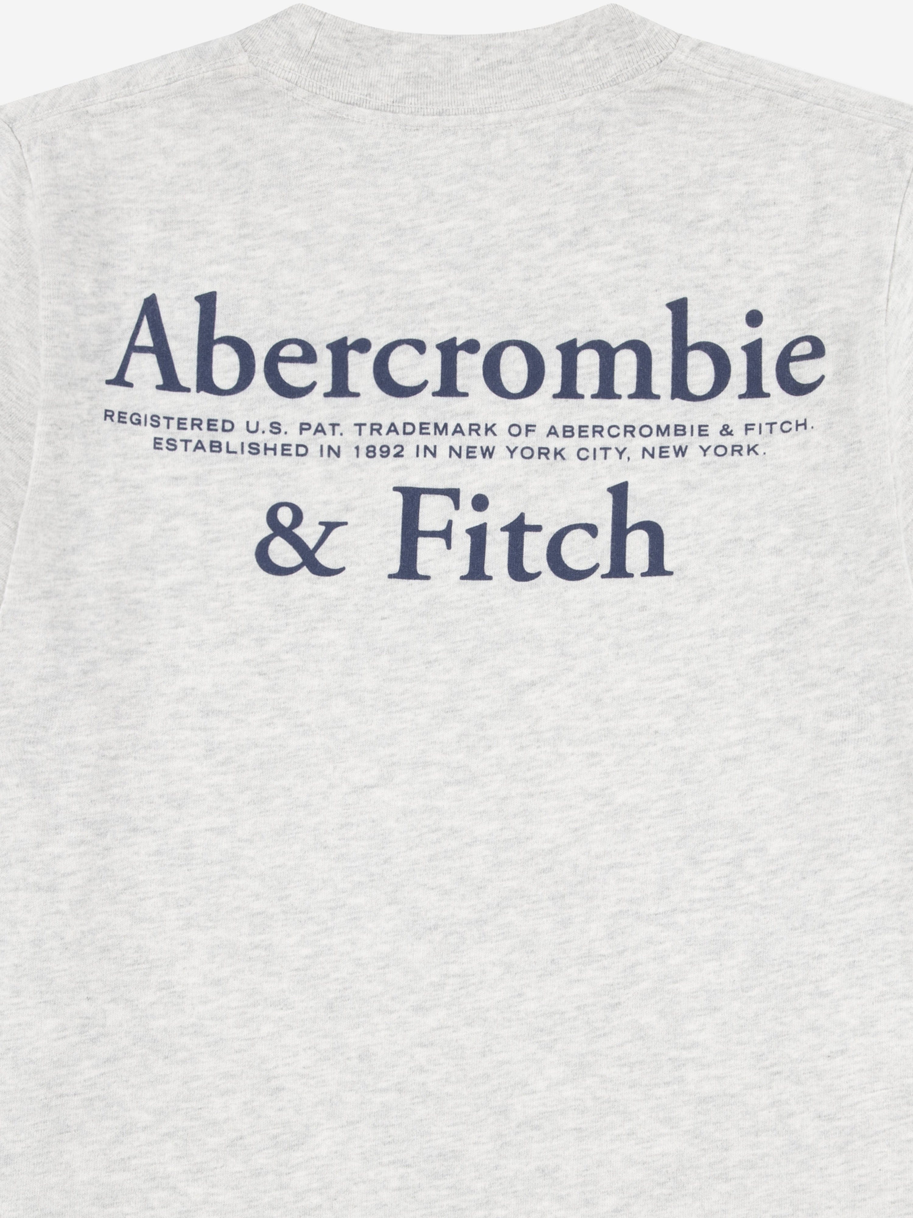 Abercrombie & Fitch Boys Foothills T-Shirt in Grey