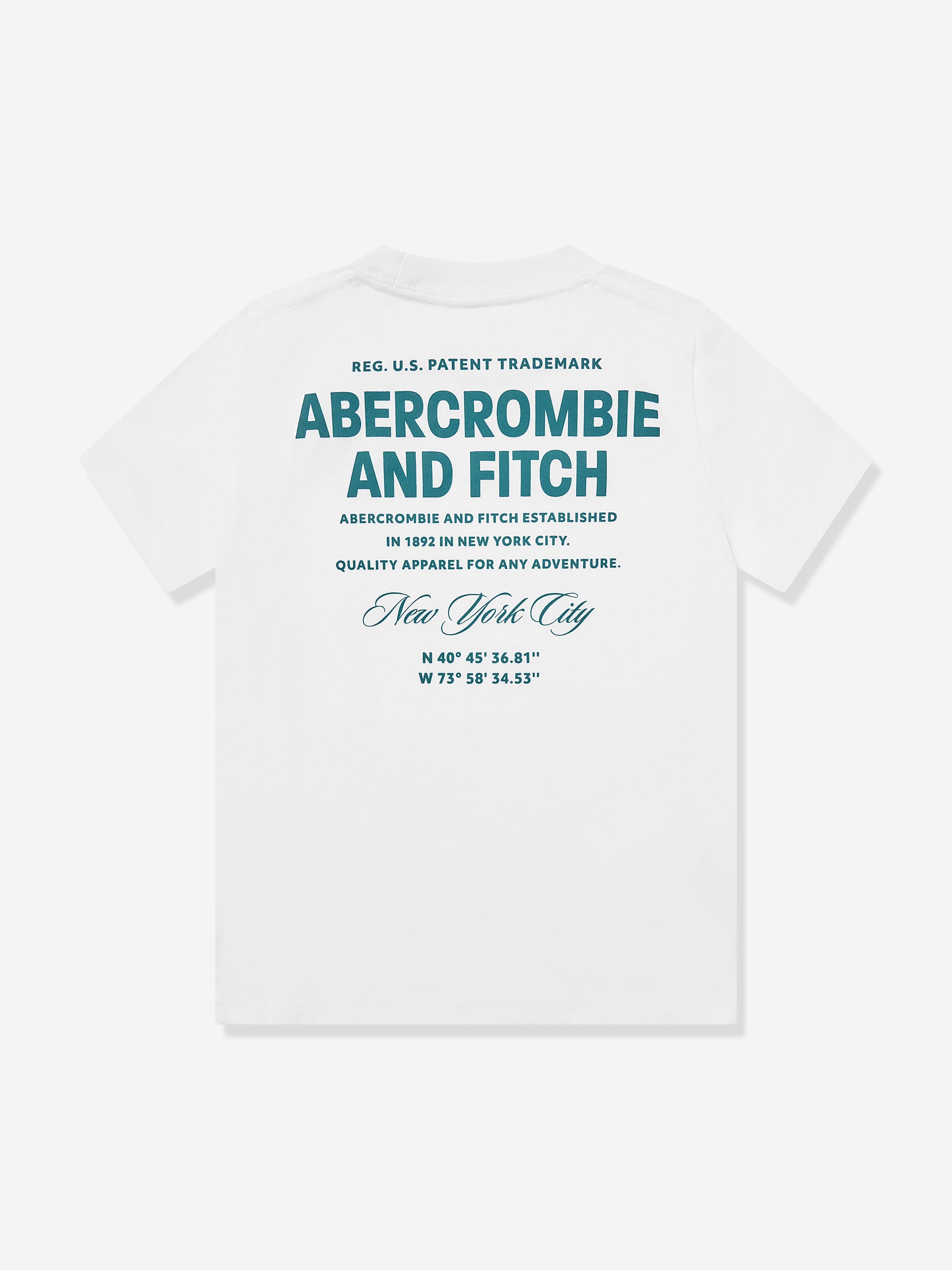 Abercrombie & Fitch Boys City Stack T-Shirt in White