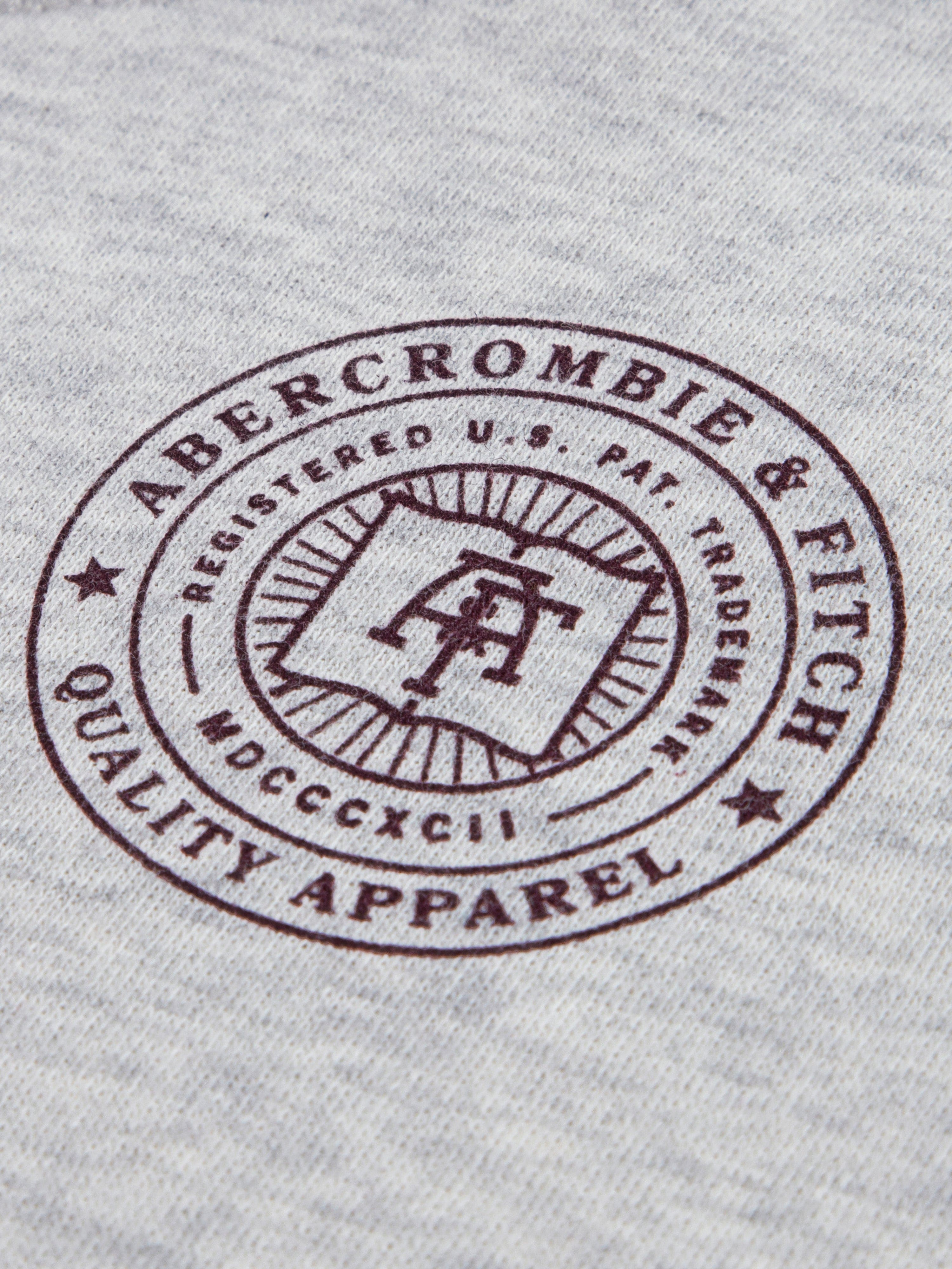 Abercrombie & Fitch Boys Fashion Hoodie in Grey