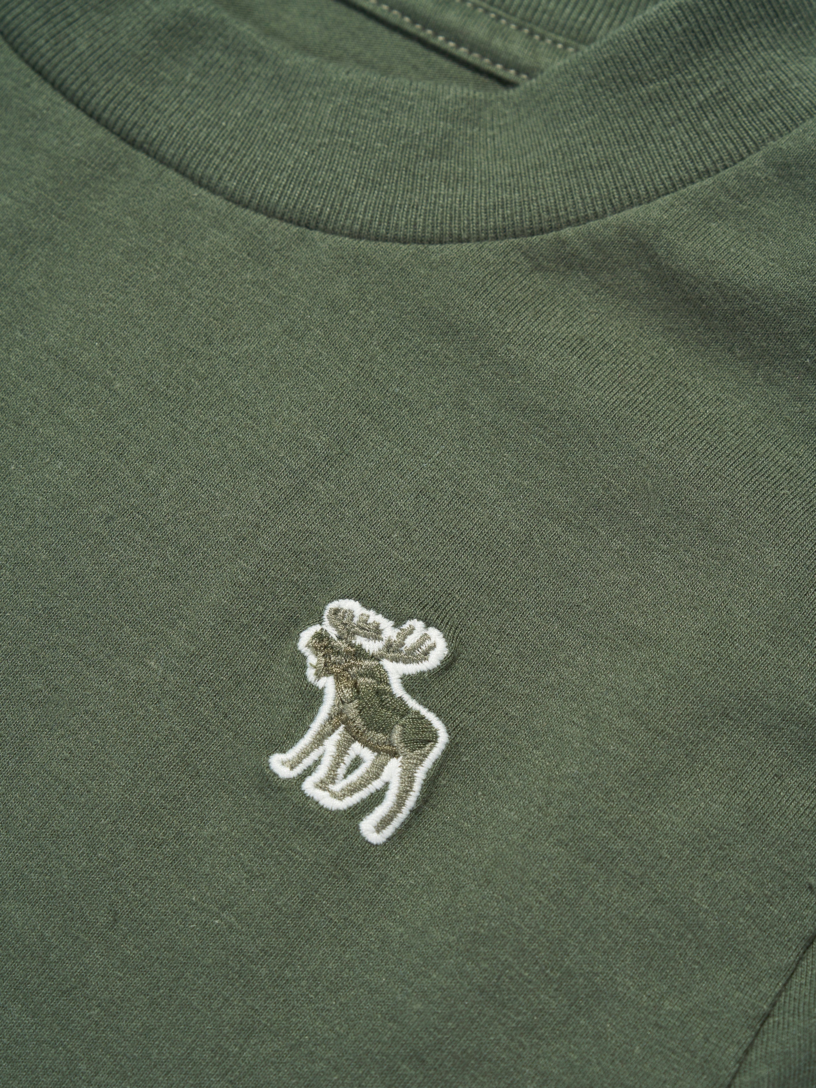 Abercrombie & Fitch Boys 3 Pack T-Shirt Set in Green