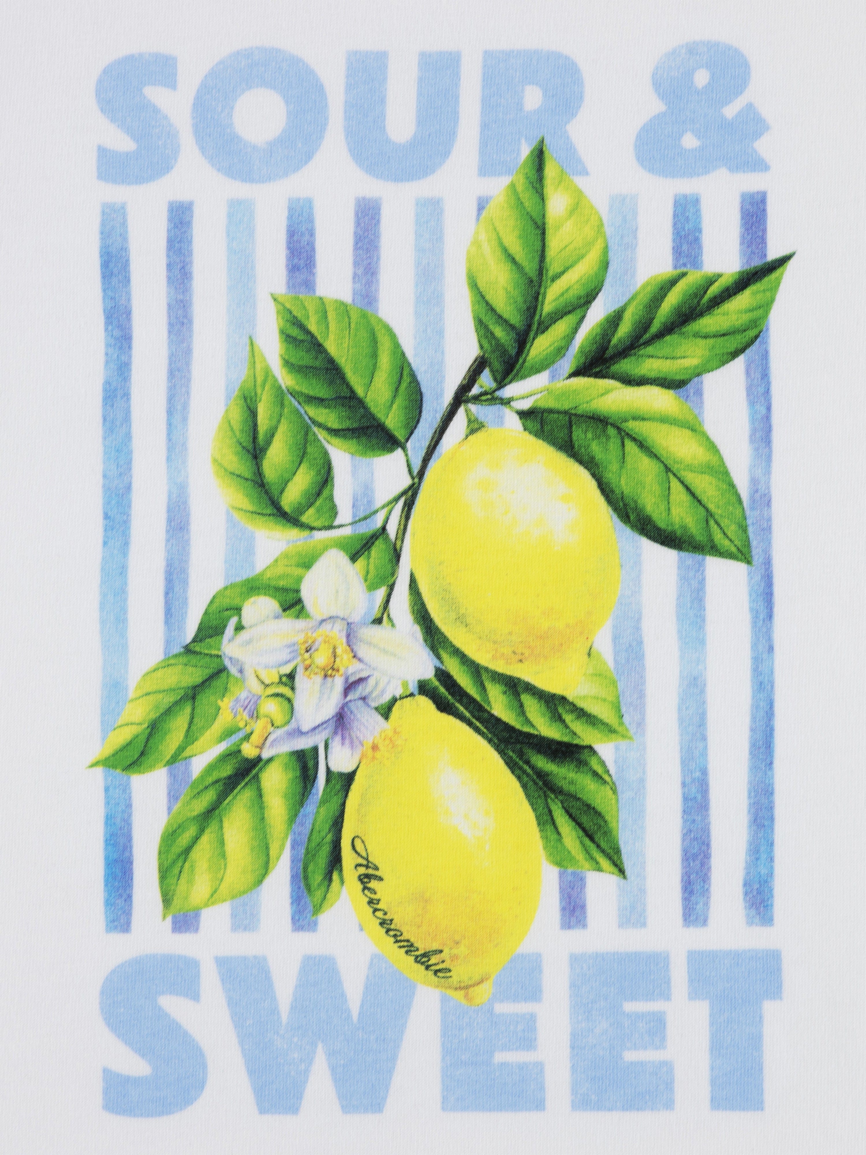 Abercrombie & Fitch Girls Sour & Sweet Classic T-Shirt in White