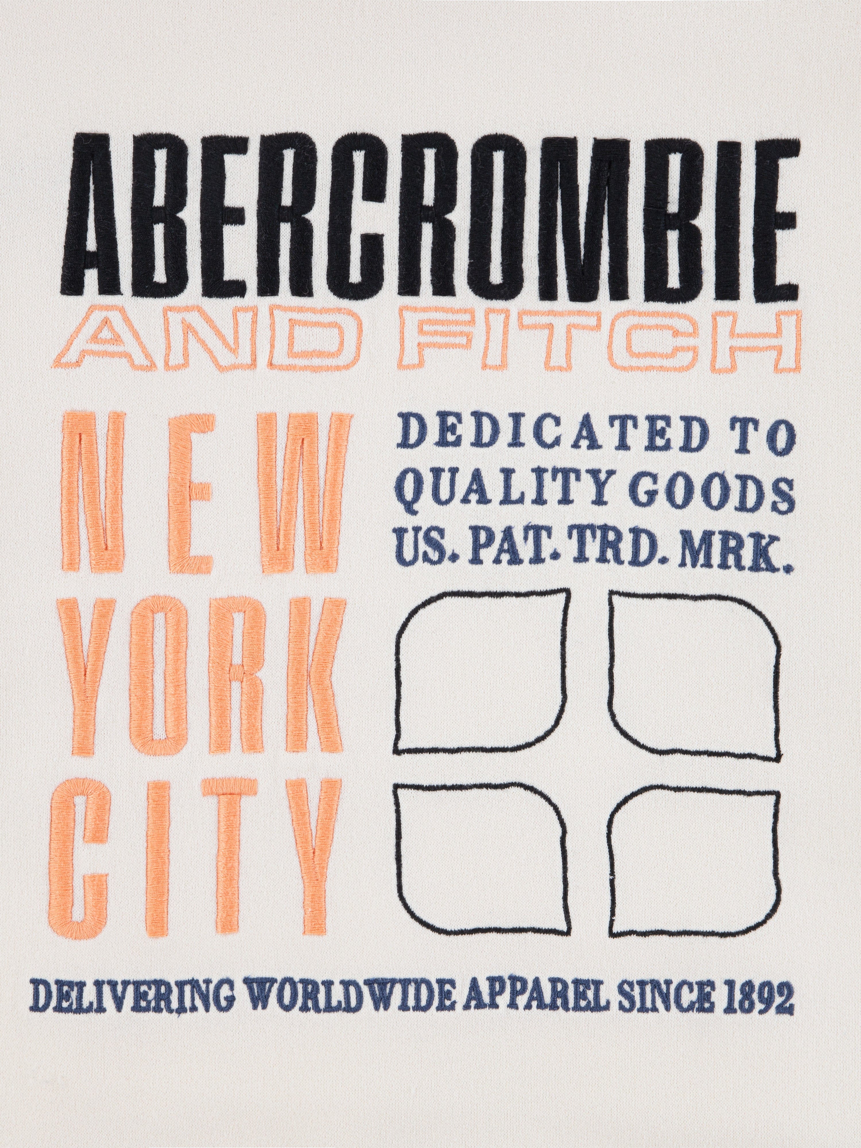 Abercrombie & Fitch Boys Pullover Hoodie in Ivory