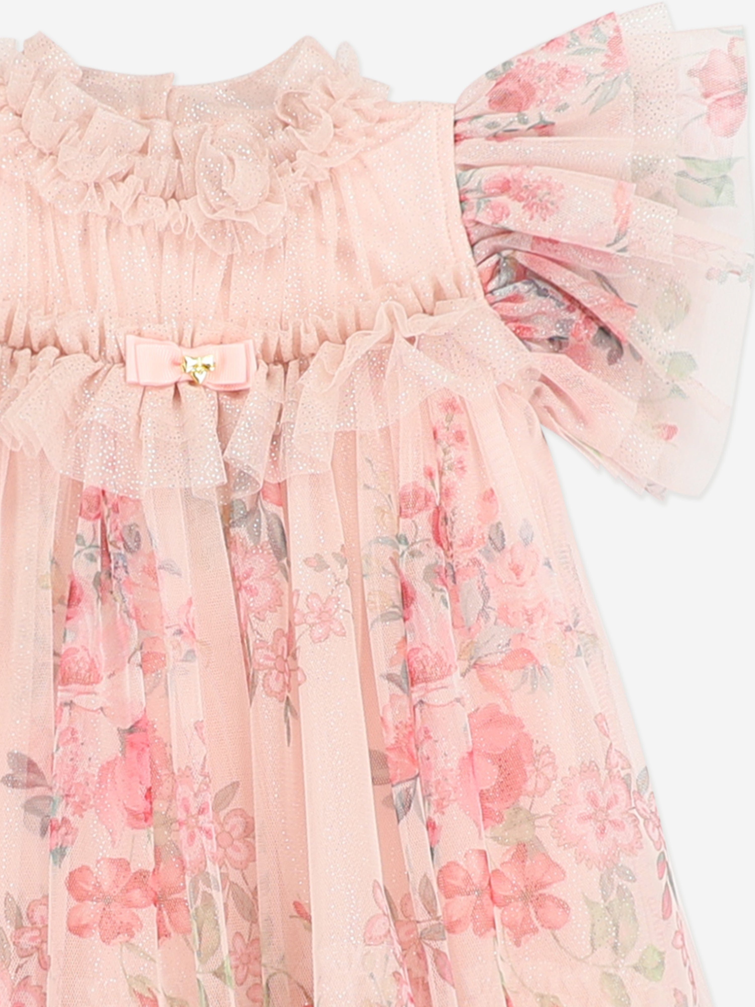 Angels Face Baby Girls Wendy Posy Print Tulle Dress in Pink