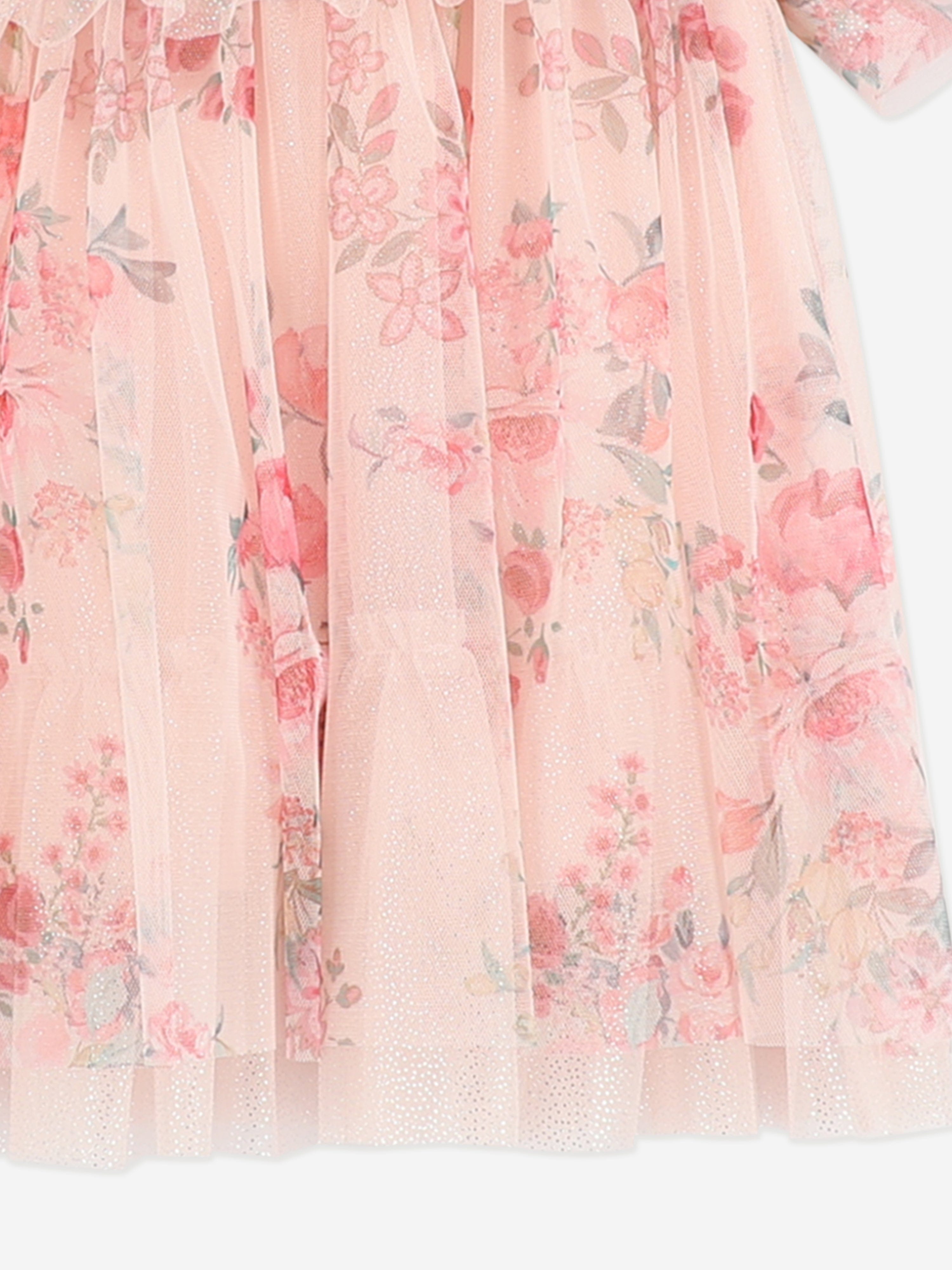 Angels Face Baby Girls Wendy Posy Print Tulle Dress in Pink