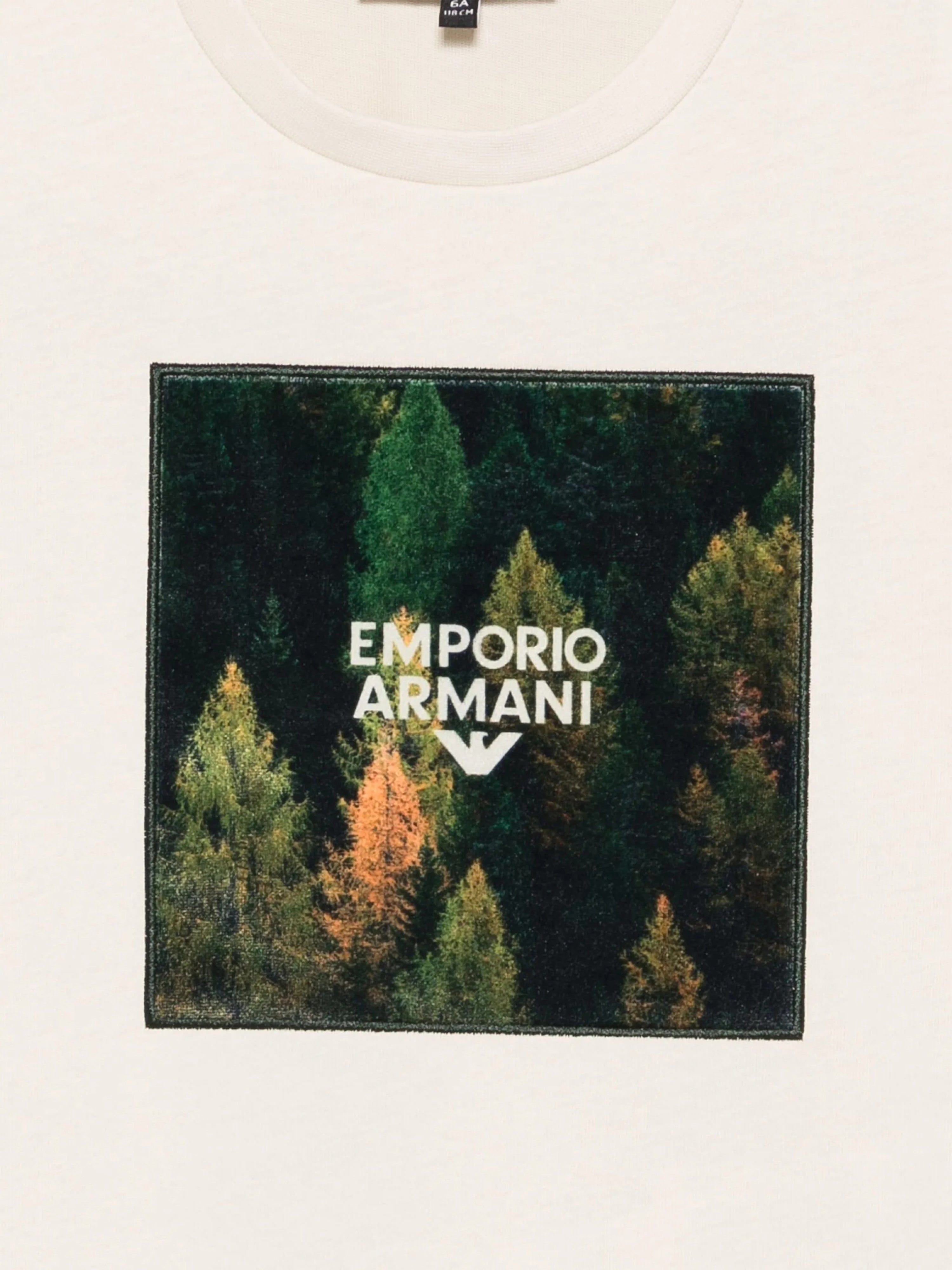 Emporio Armani Boys Graphic Print T-Shirt in Beige