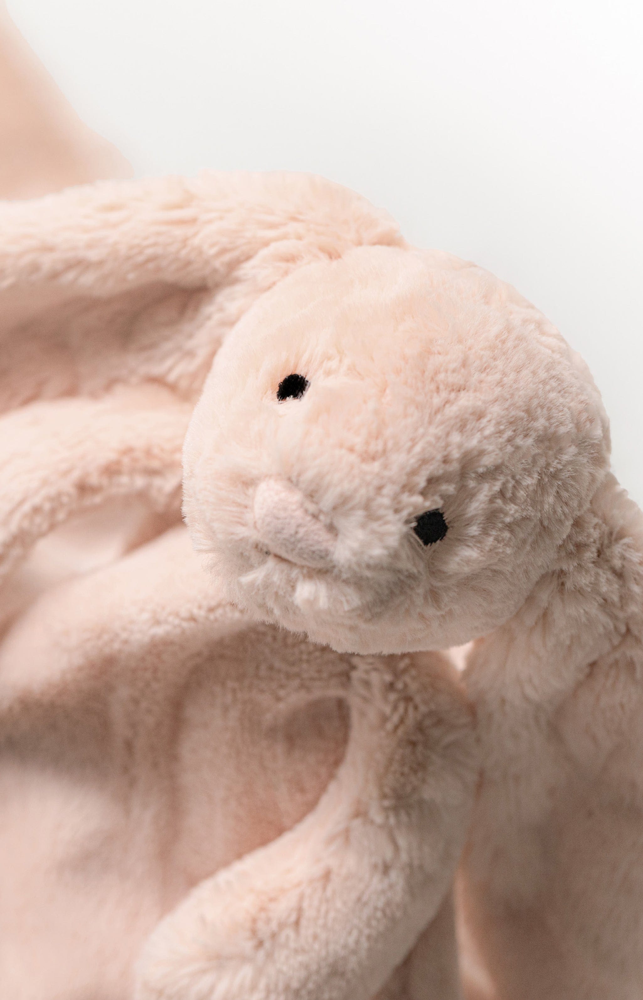 Bashful Blush Little Bunny Soft Toy in Pink (18 CM)