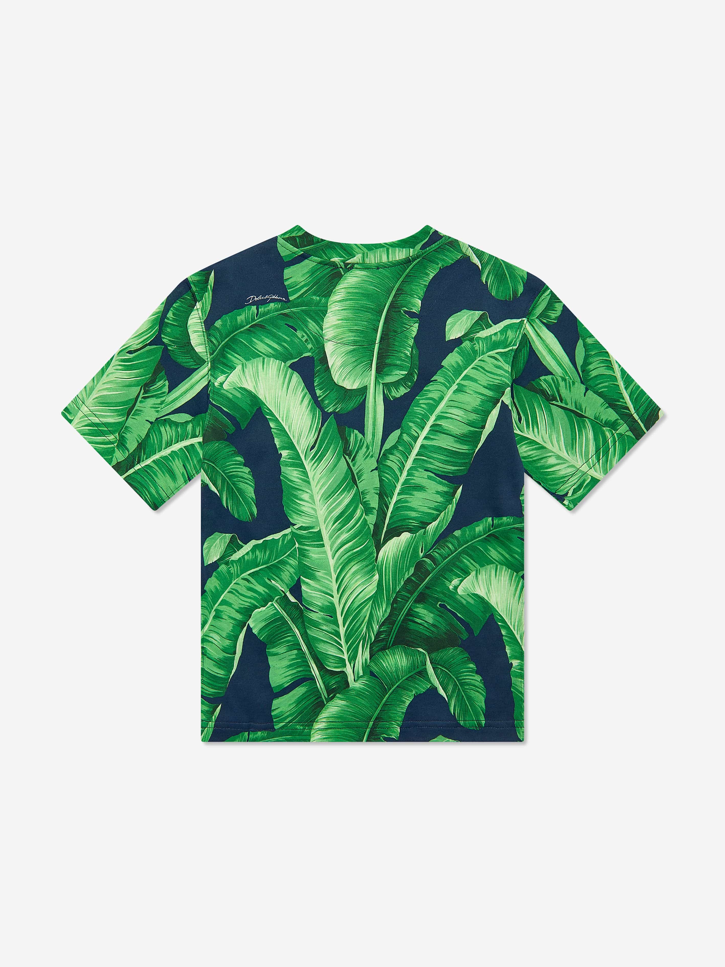 Dolce & Gabbana Boys Banana Leaf T-Shirt in Green