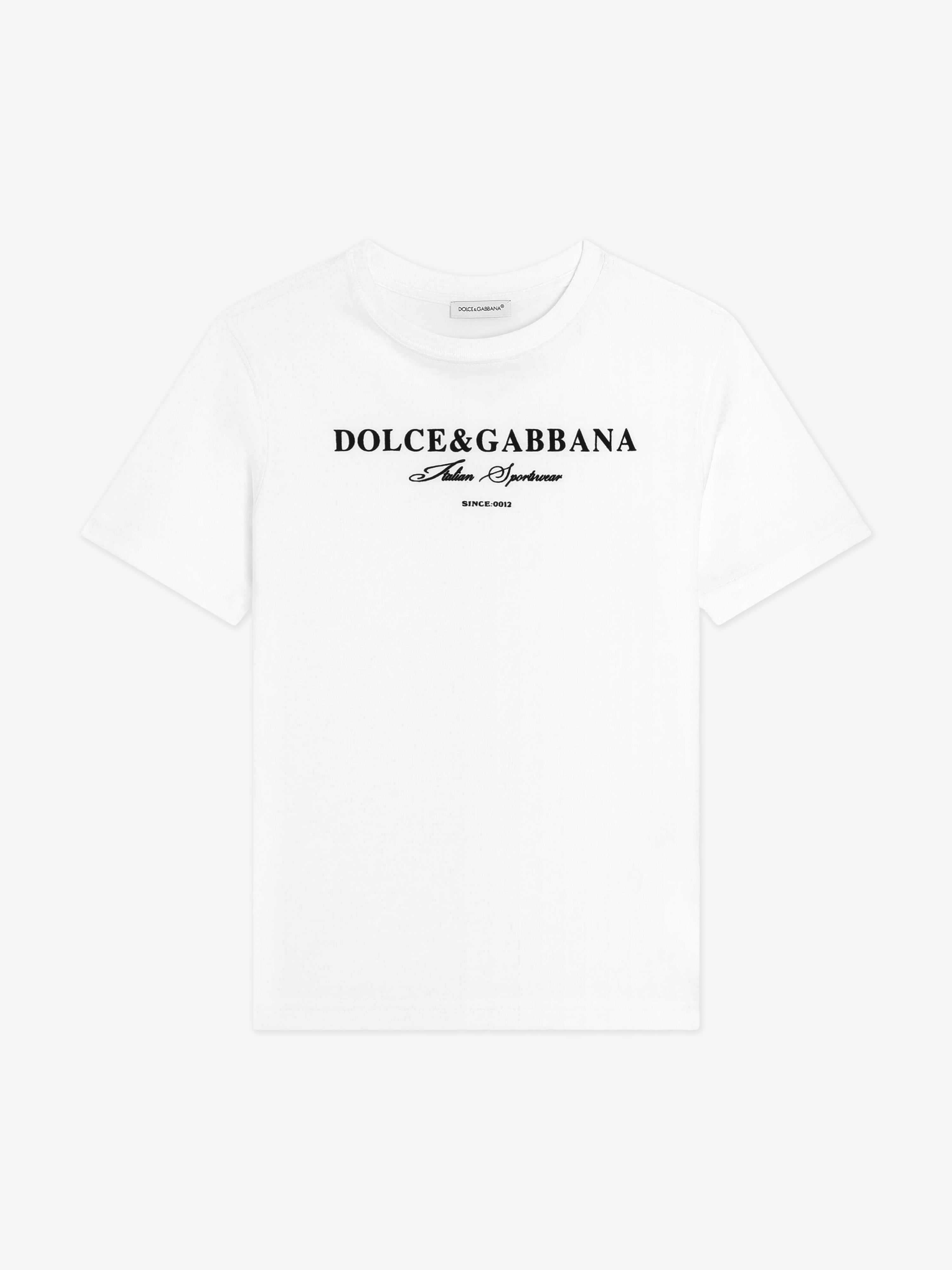 Dolce & Gabbana Boys Flock Logo T-Shirt in White