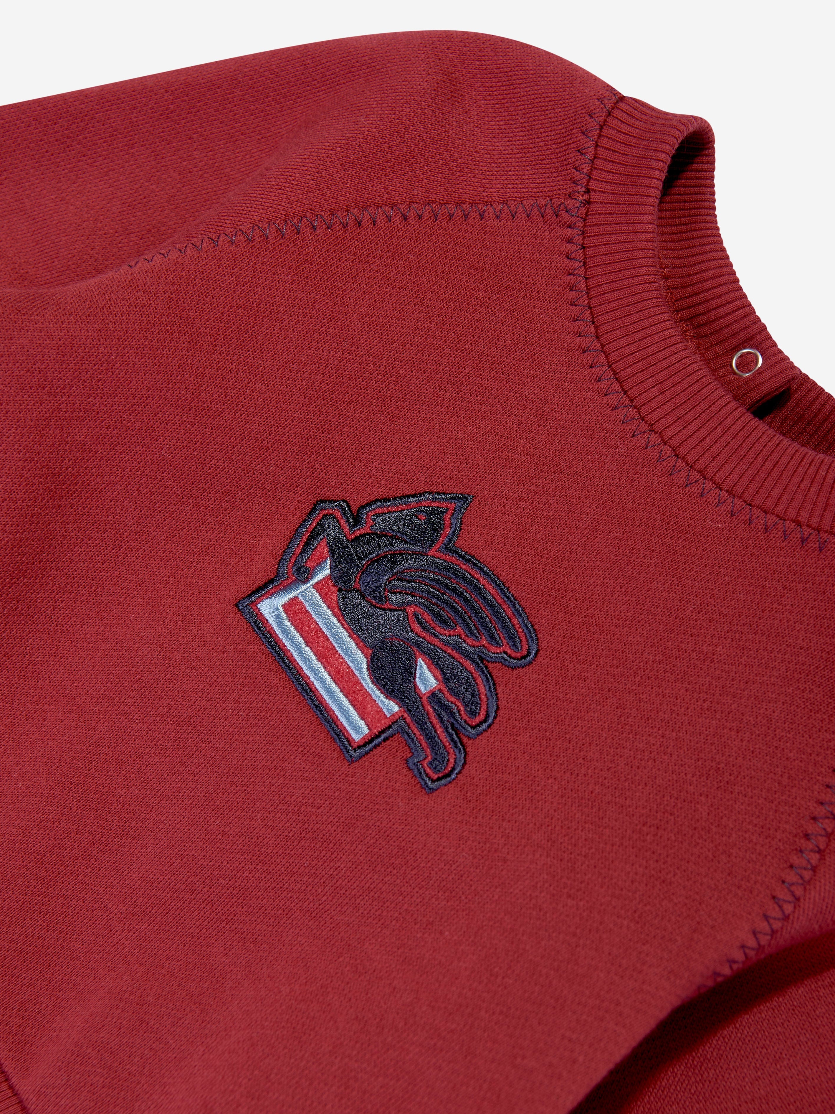 Etro Baby Boys Pegaso Logo Sweatshirt in Red