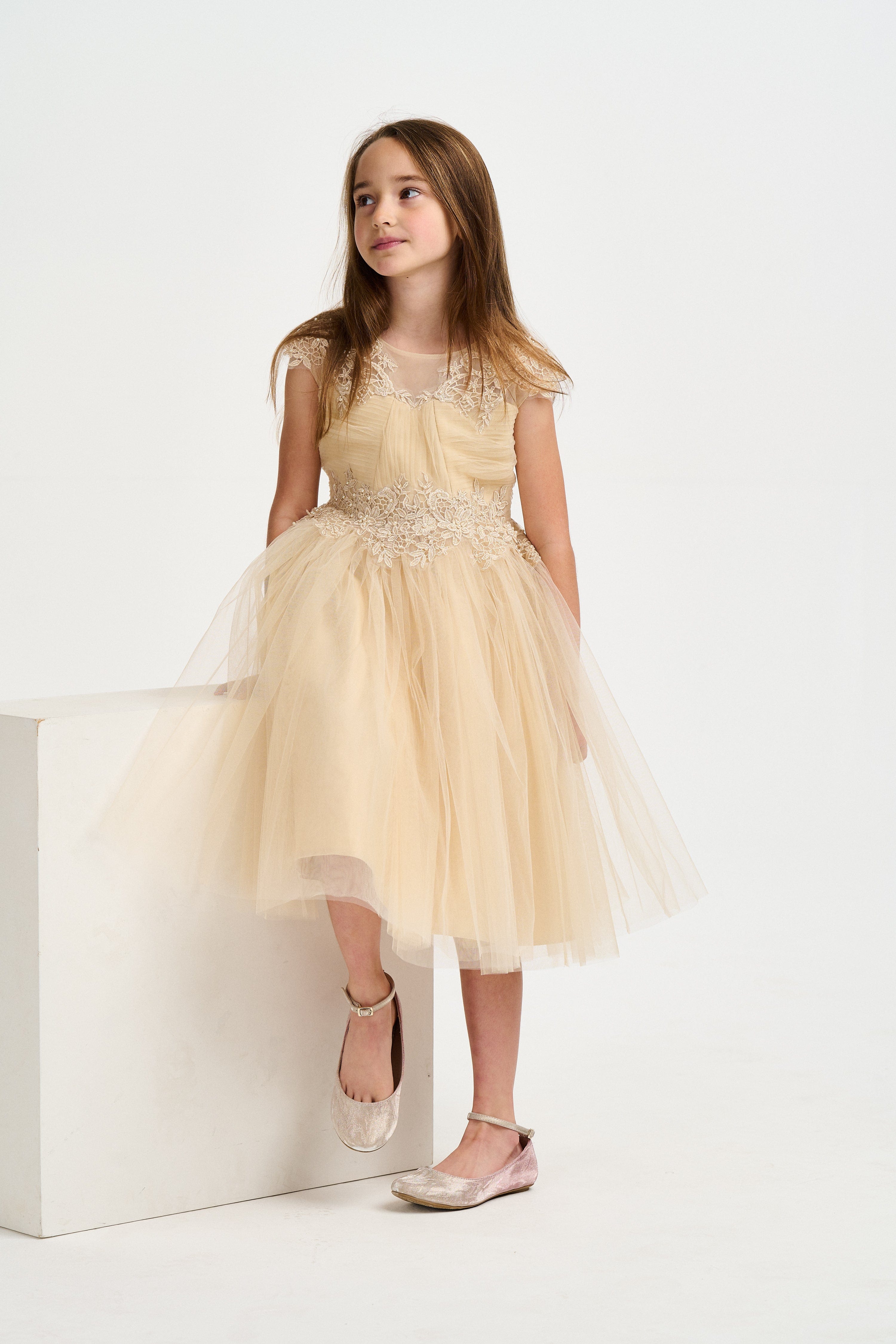 iAMe Girls Tulle Embroidered Dress in Gold