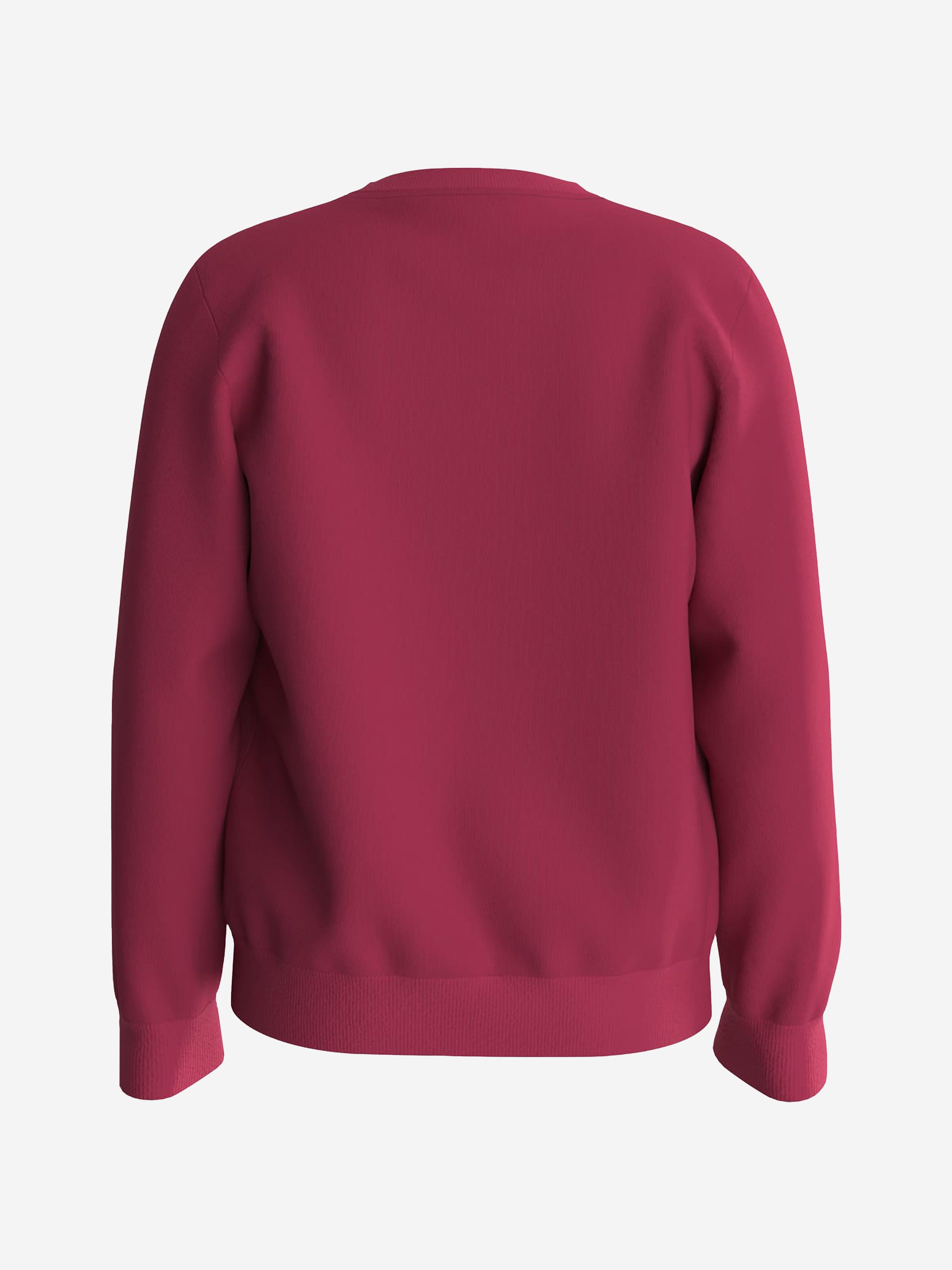 Guess Boys Logo Sweatshirt in Red