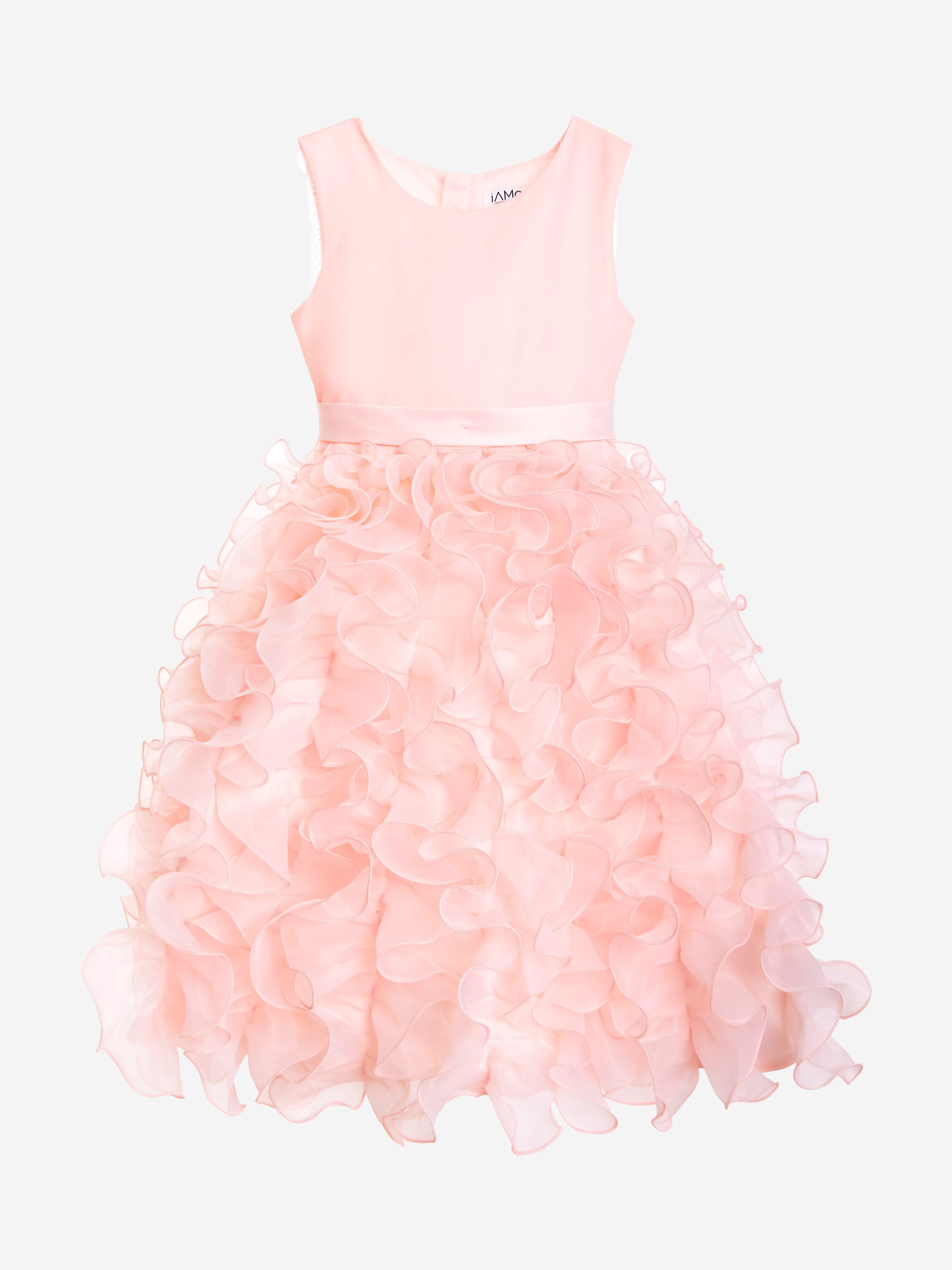 iAMe Girls Ruffle Dress in Pink