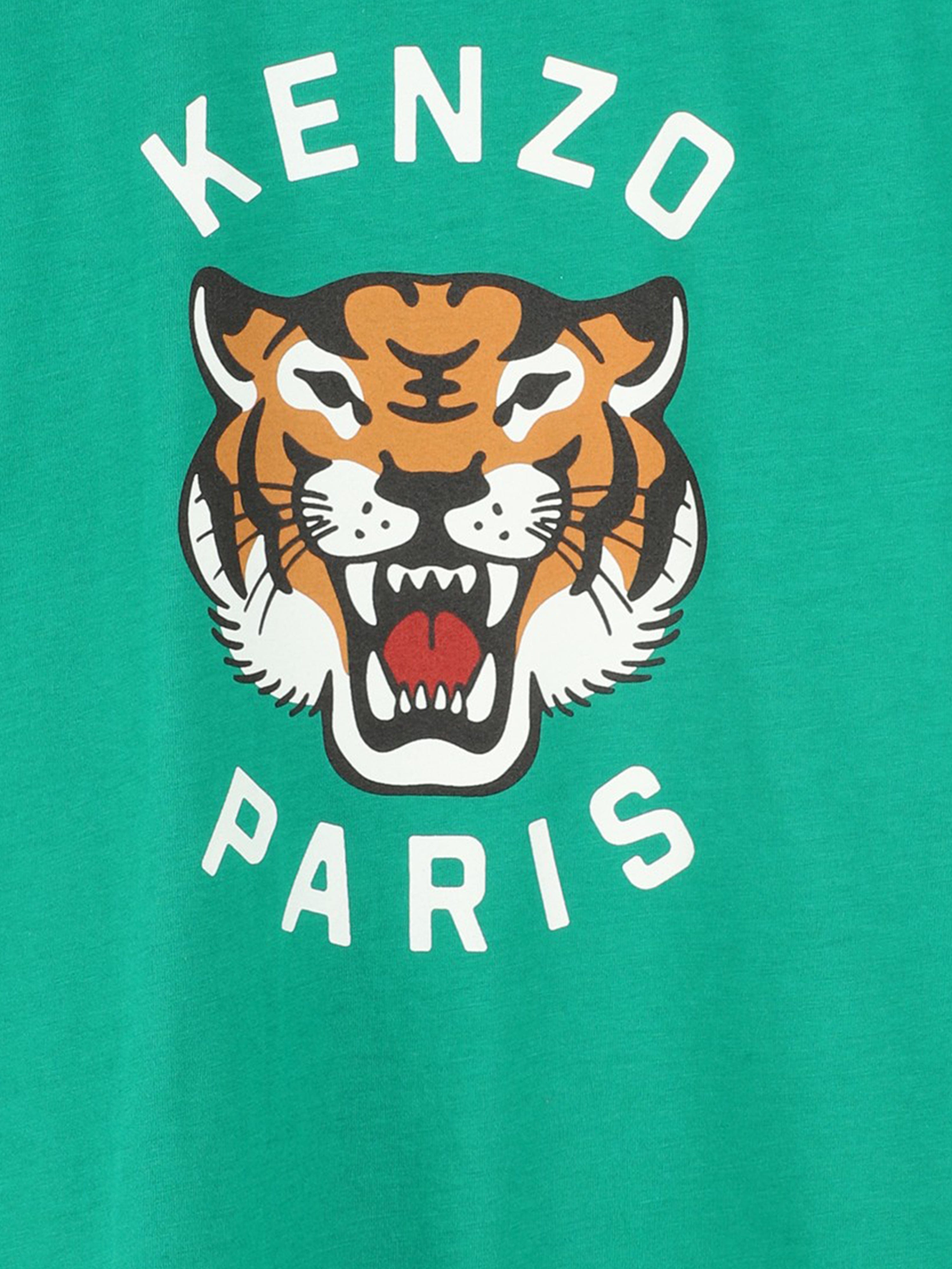 Boys Tiger T-Shirt in Green