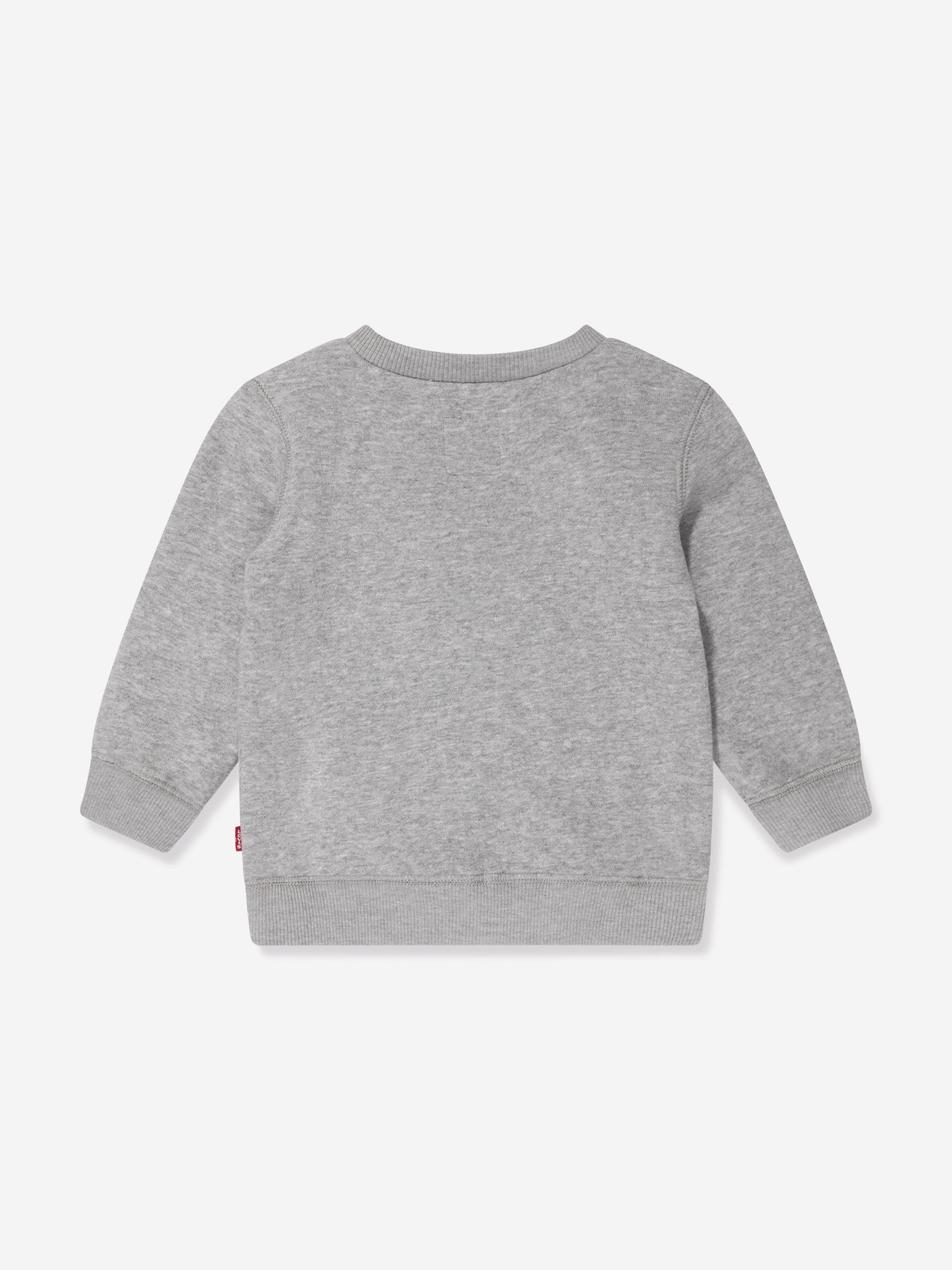 Levi's Baby Boys Batwing Crewneck Sweatshirt in Grey