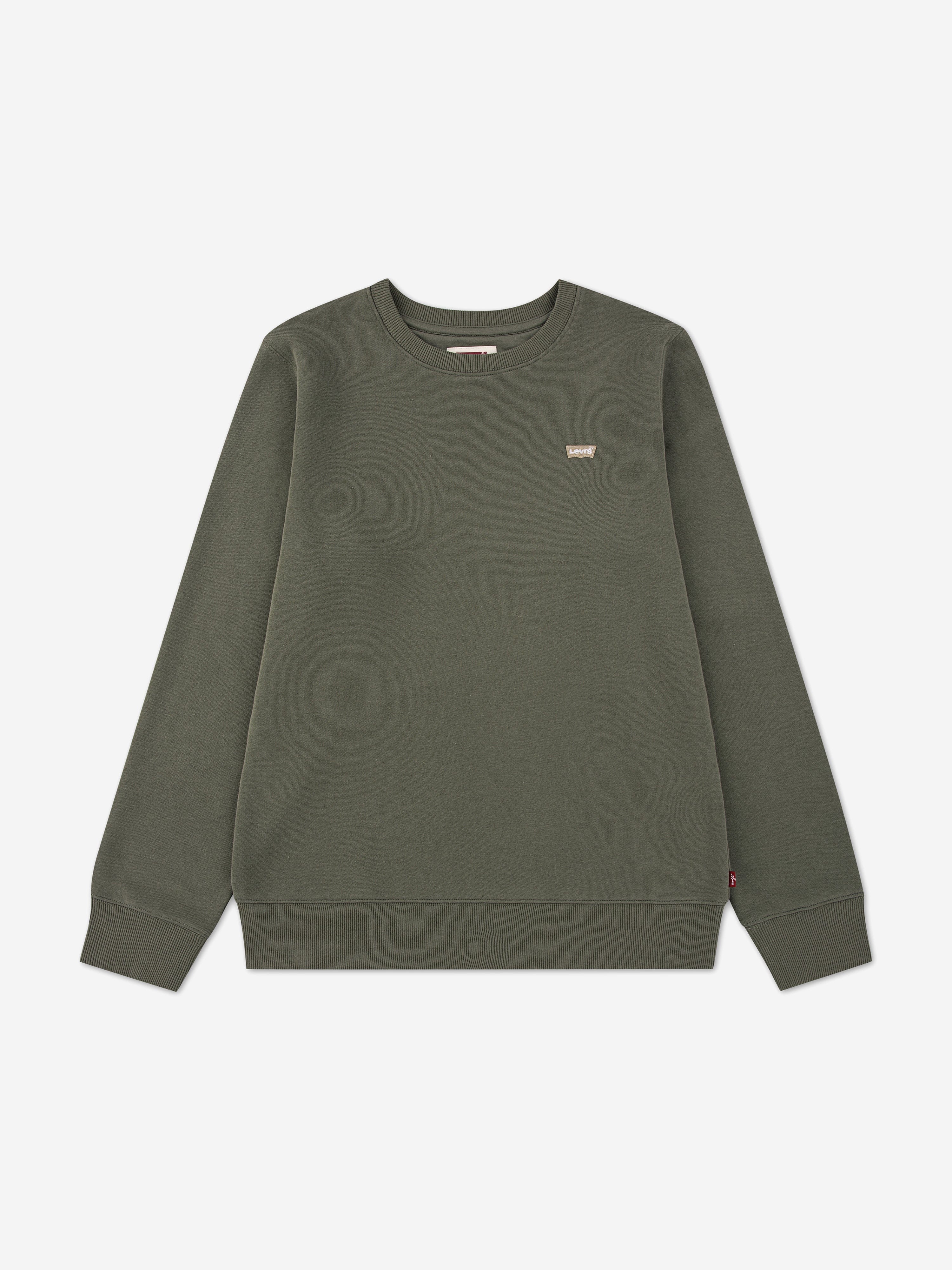Levi's Boys Mini Logo Sweatshirt in Green