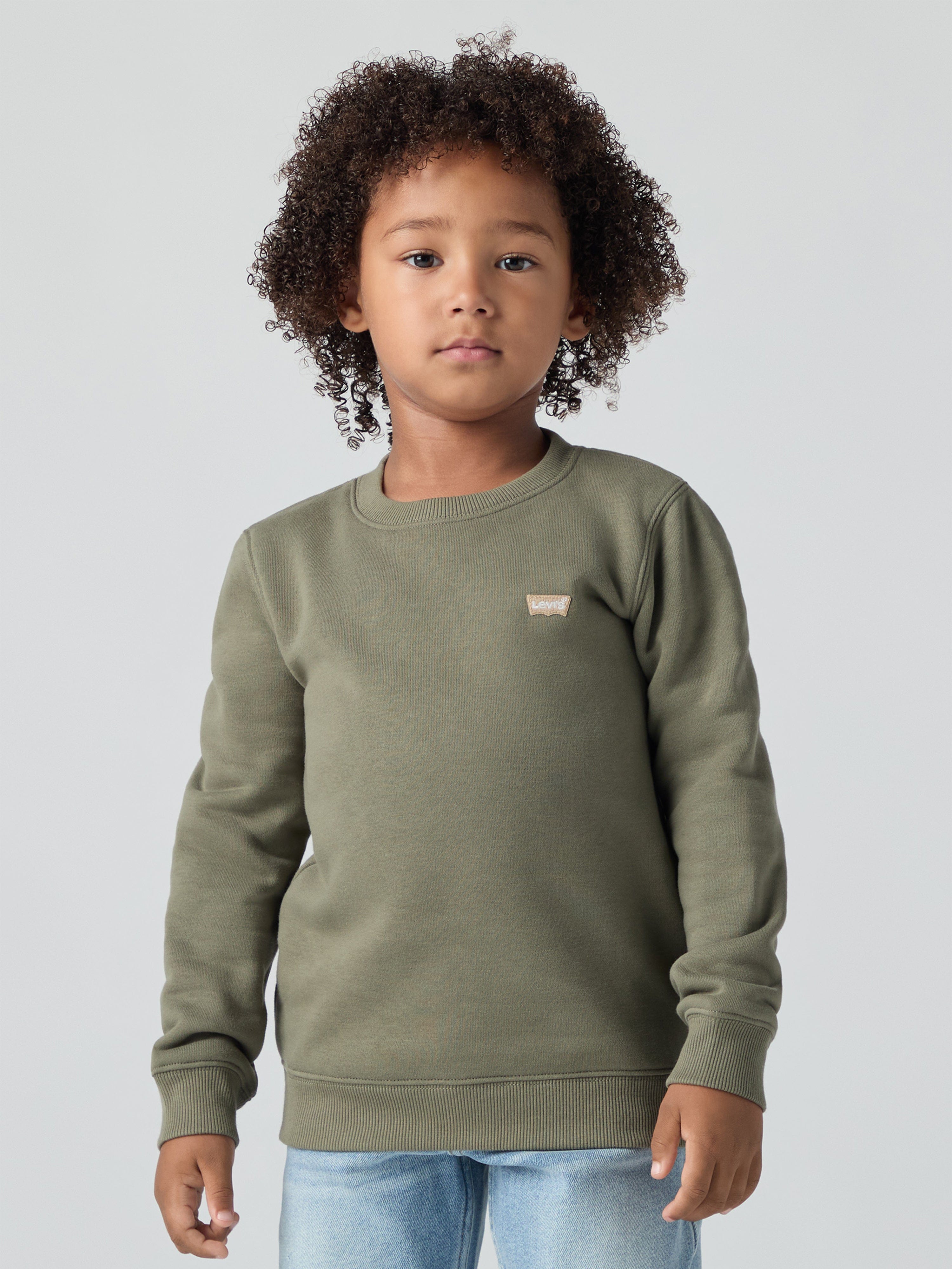 Levi's Boys Mini Logo Sweatshirt in Green