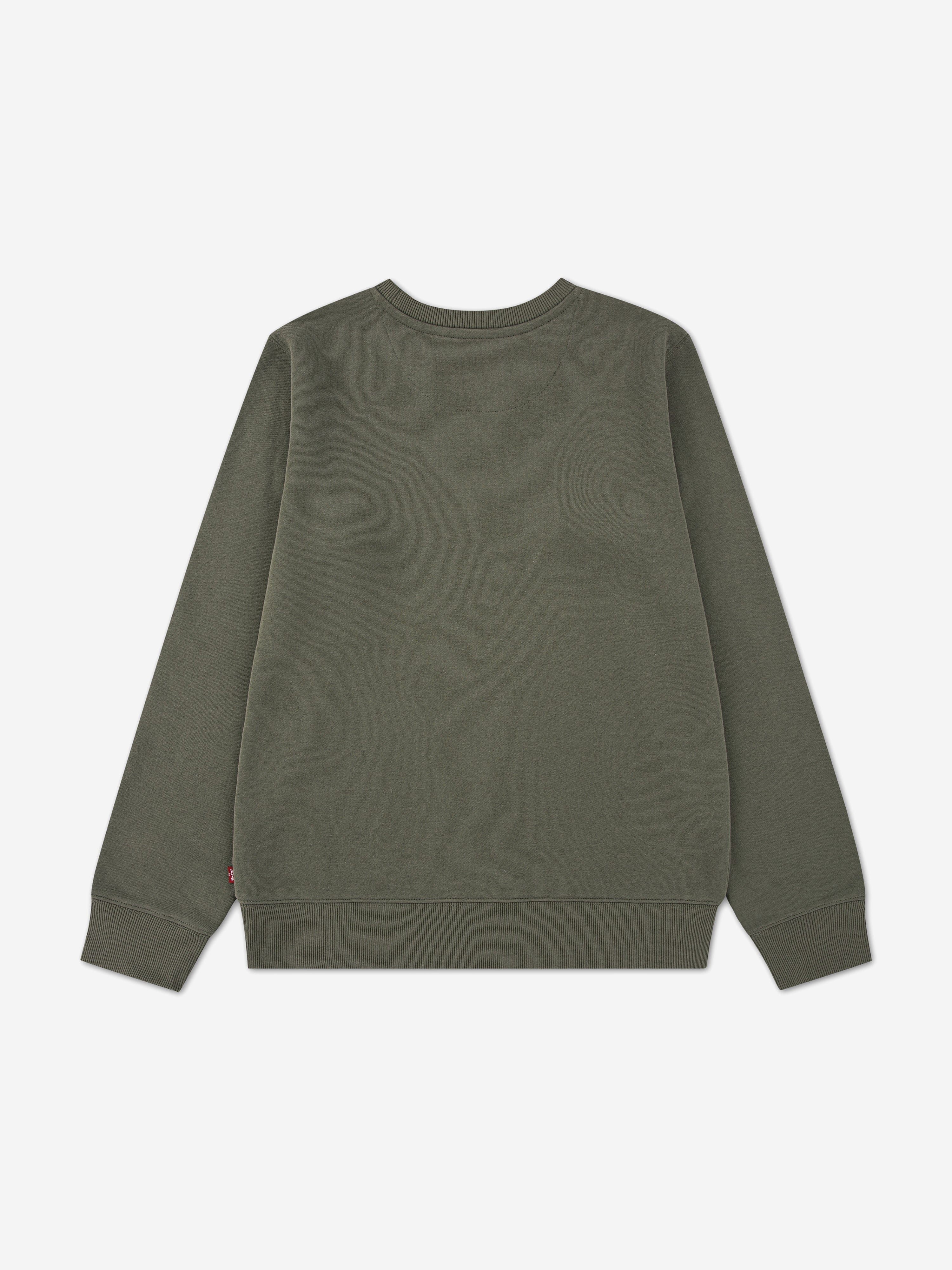 Levi's Boys Mini Logo Sweatshirt in Green