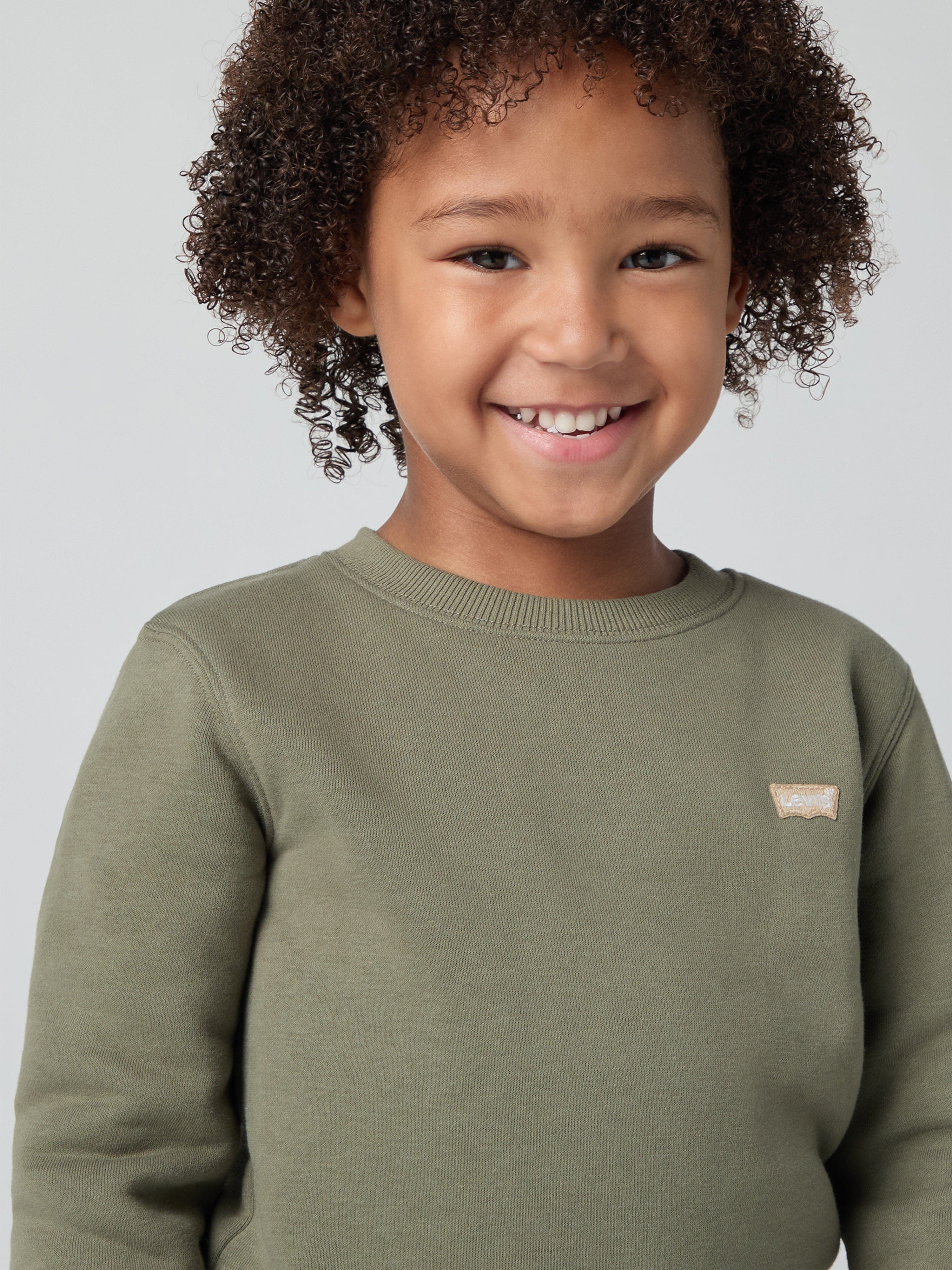 Levi's Boys Mini Logo Sweatshirt in Green