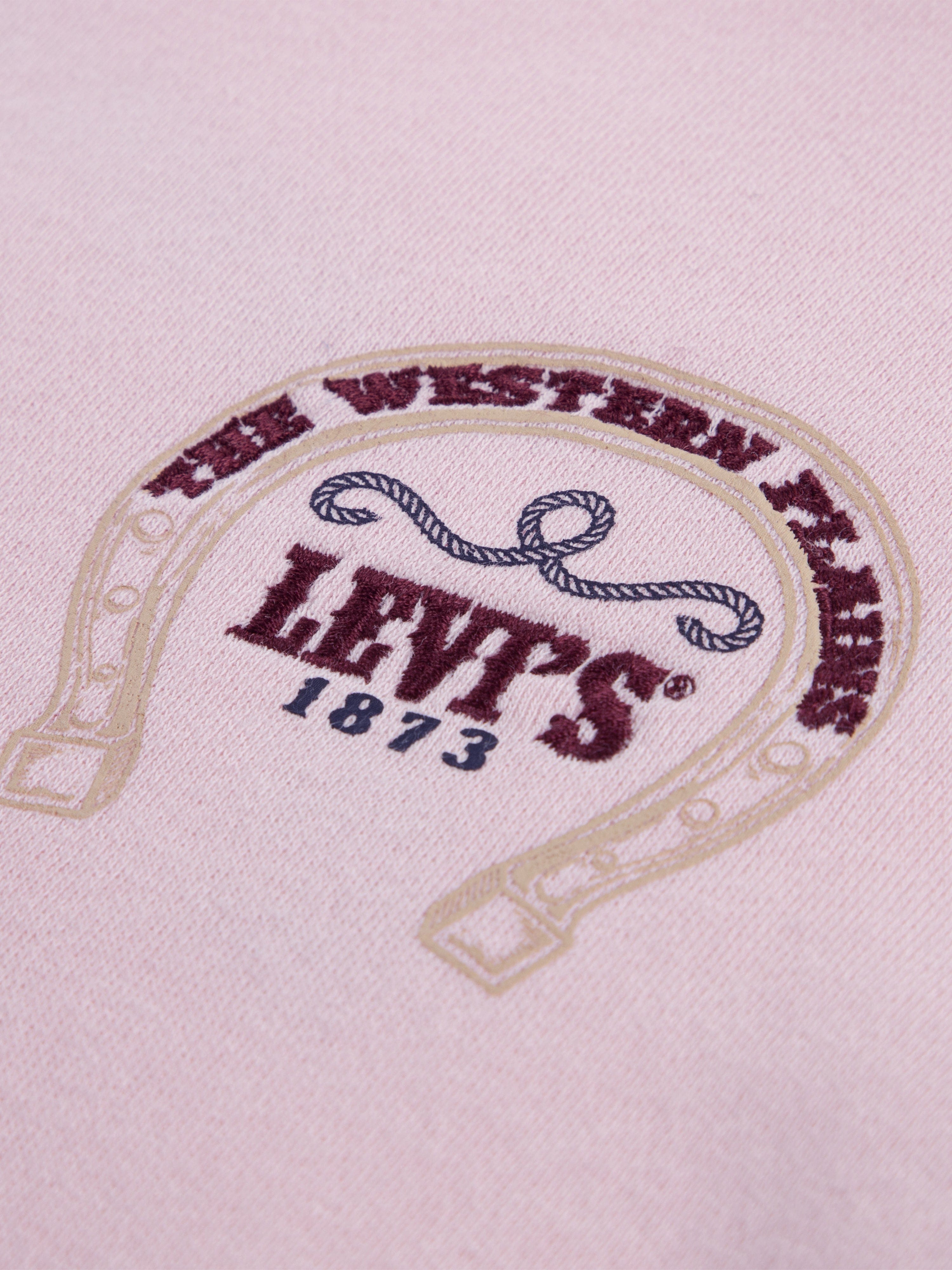 Levi's Girls Ruffle Hoodie in Pink