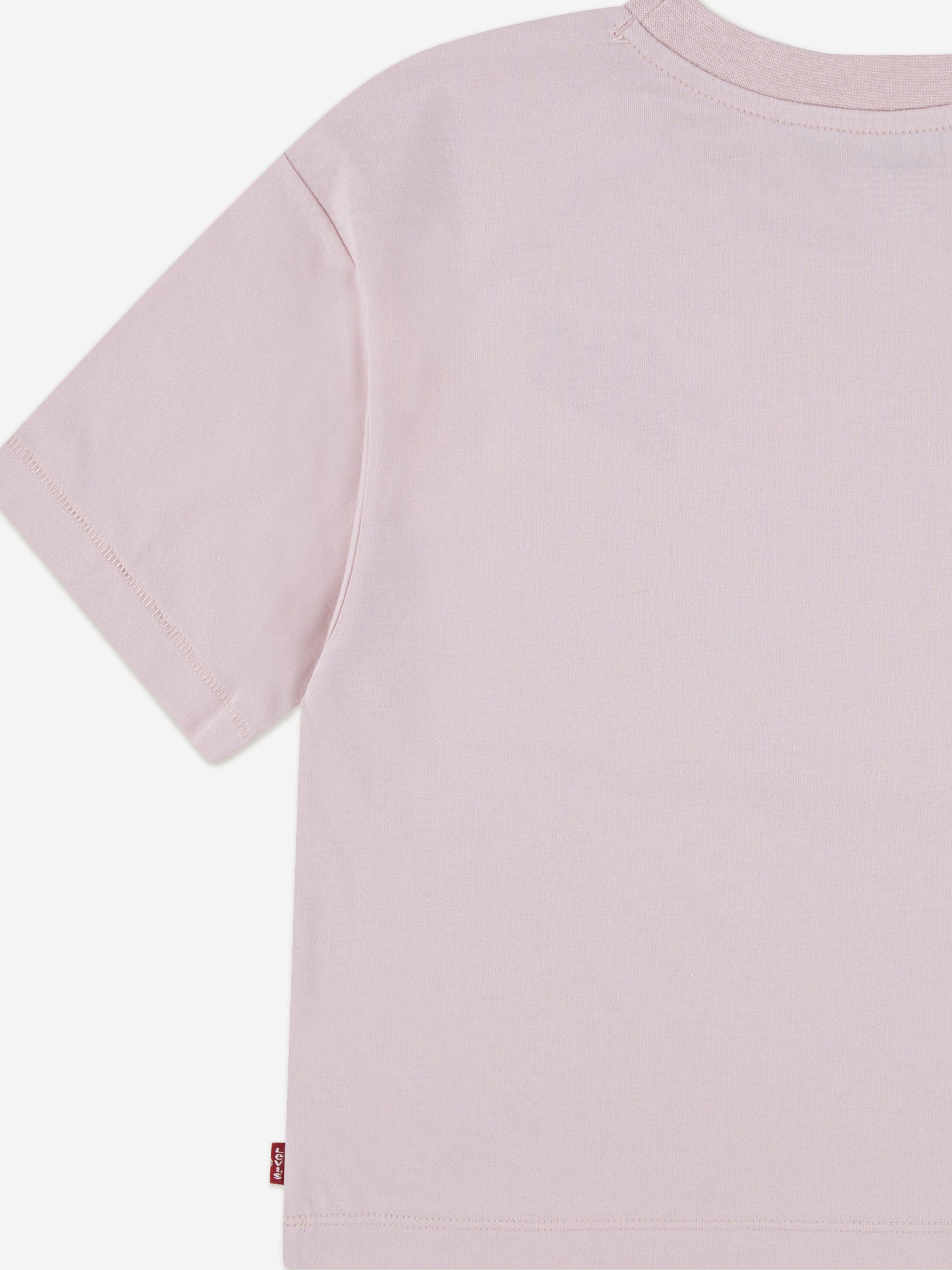 Levi's Girls Boxy Meet and Greet T-Shirt in Pink