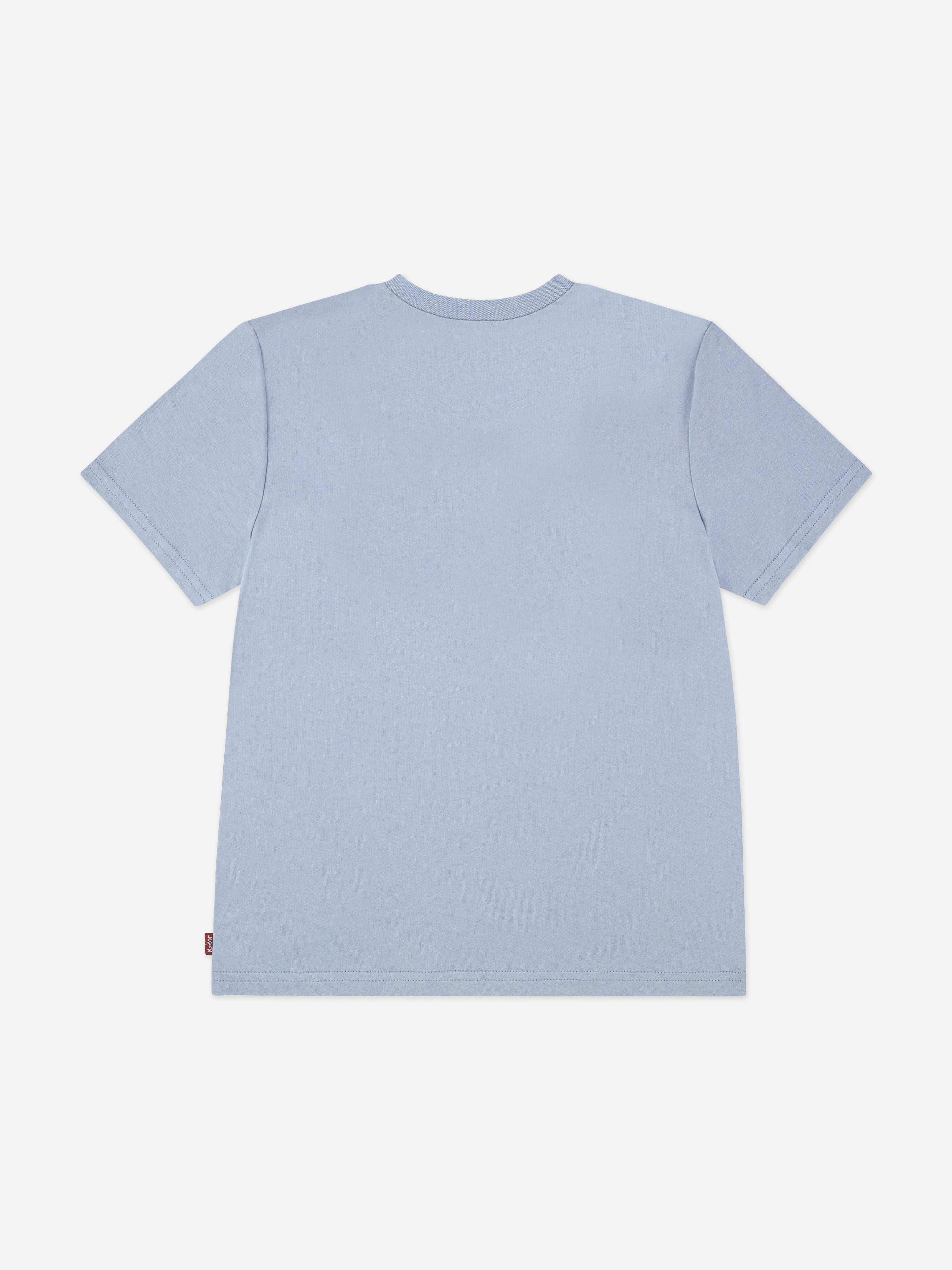 Levi's Boys Batwing T-Shirt in Blue