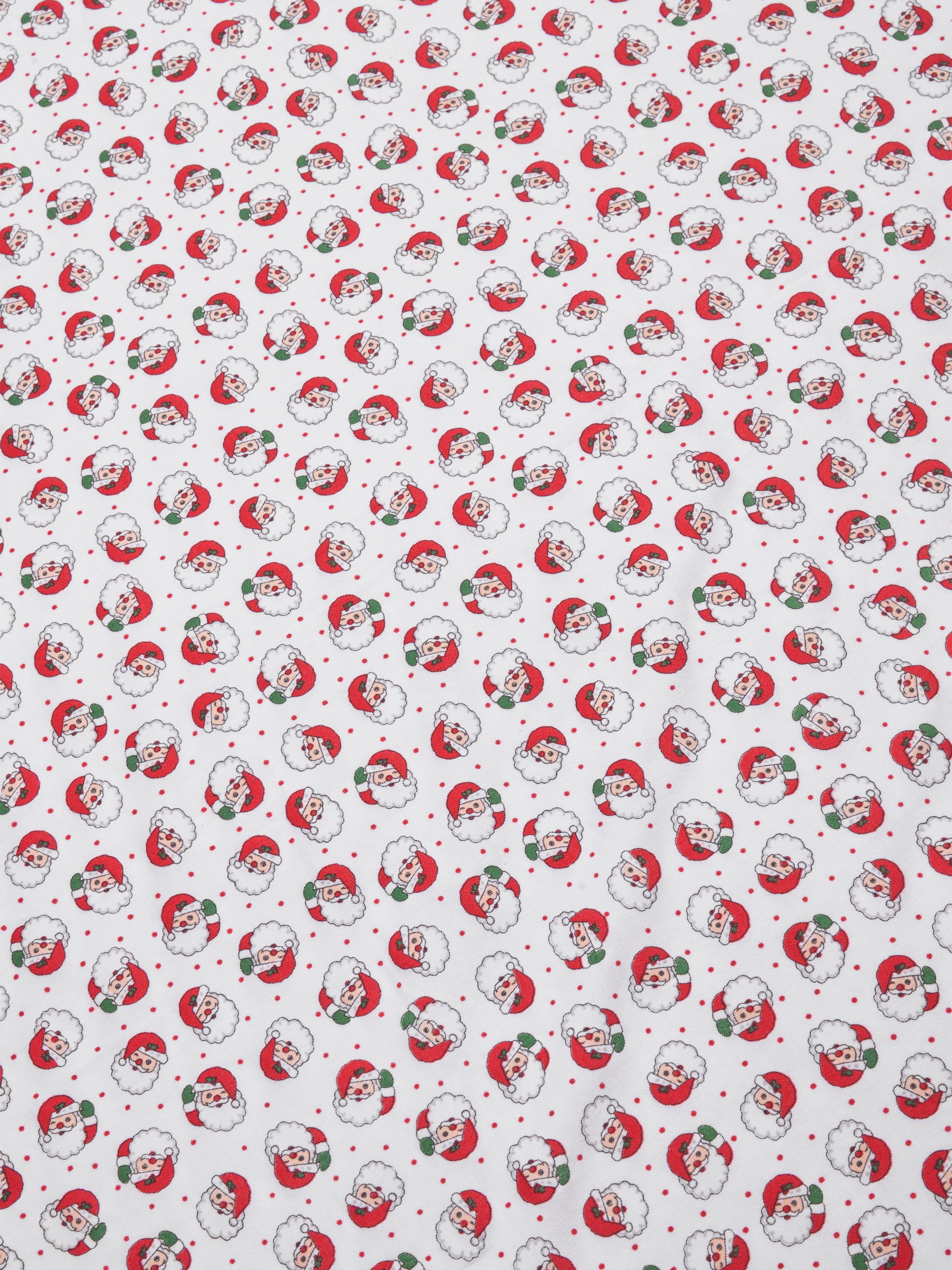 Magnolia Baby Baby Winking Santa Printed Swaddle Blanket in Red