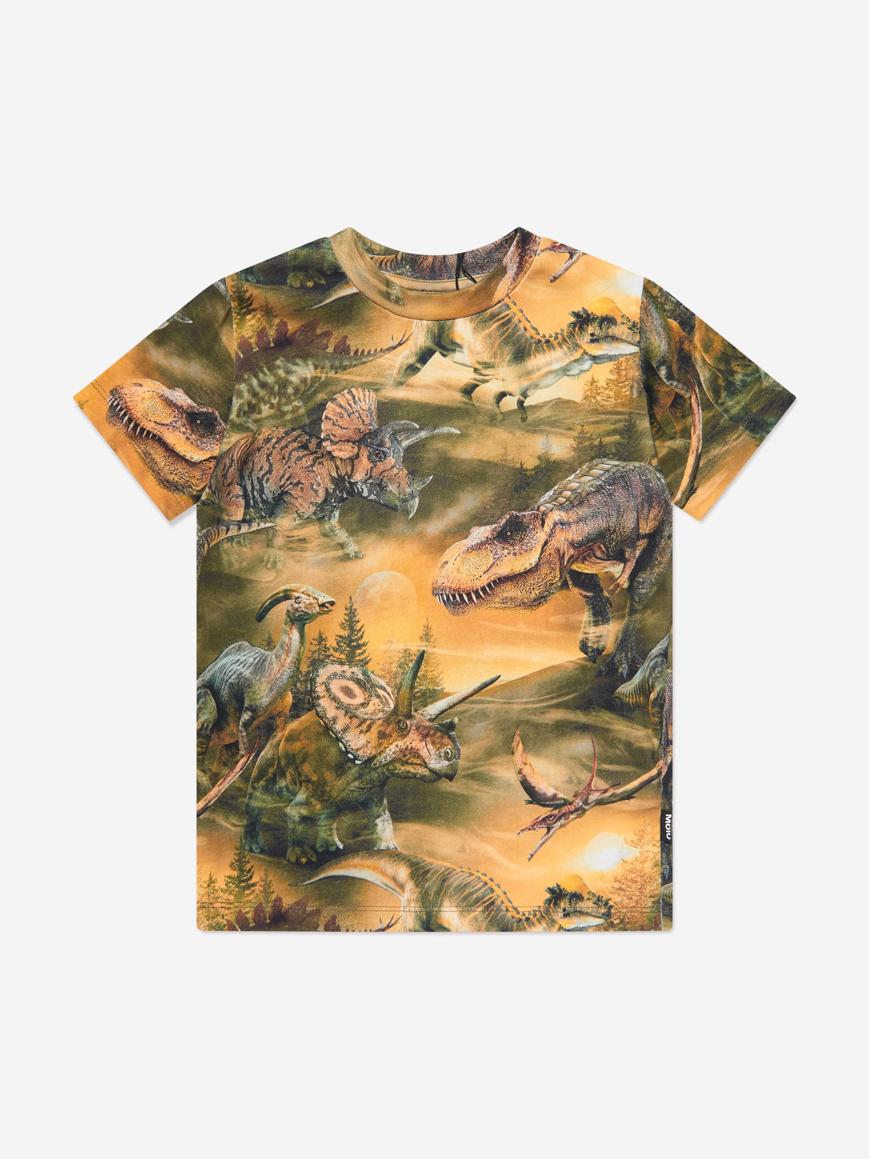 Molo Boys Dino Dawn T-Shirt in Green