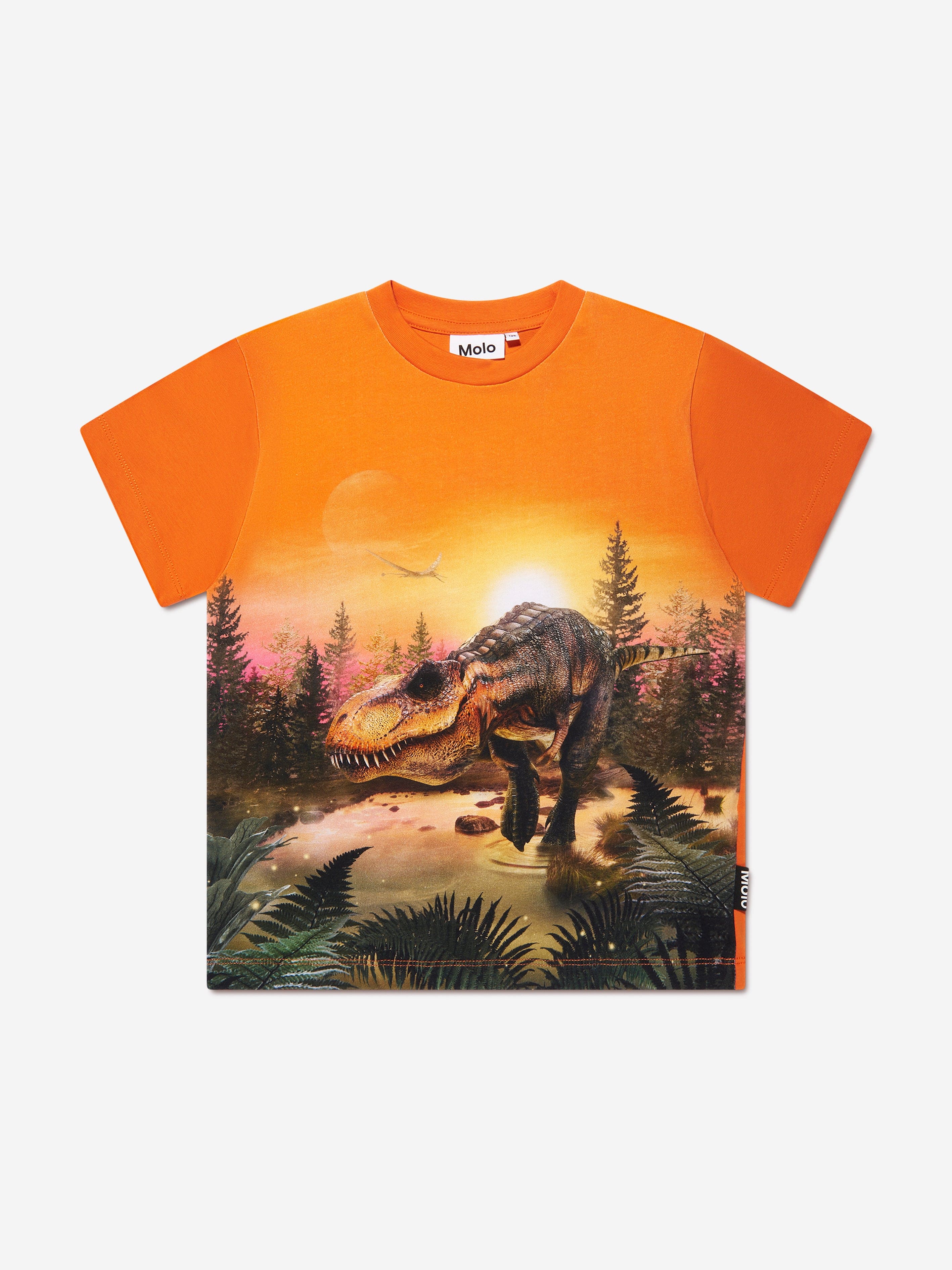 Molo Boys Dino Lake T-Shirt in Orange