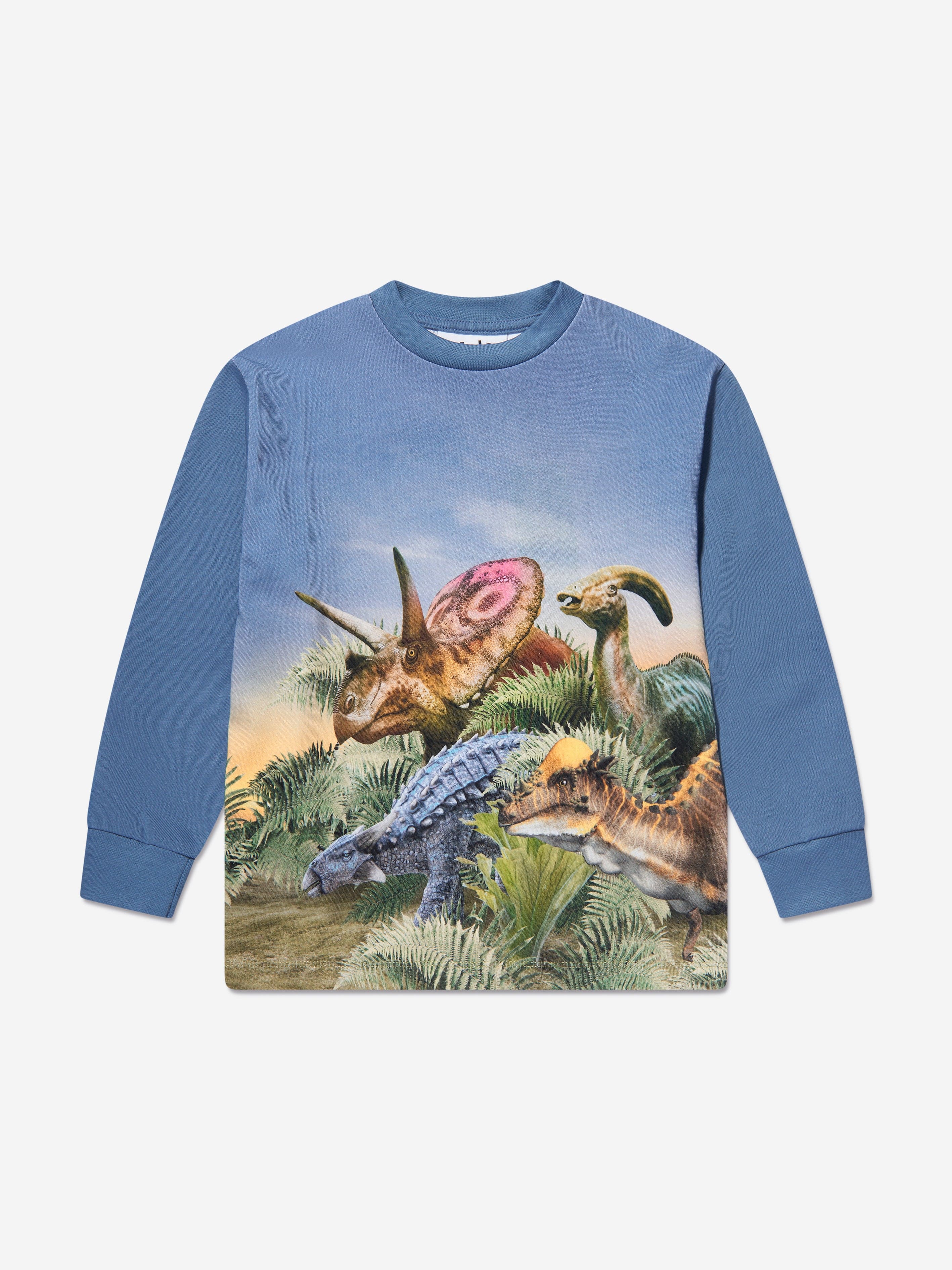 Molo Boys Dino Friends Long Sleeve T-Shirt in Blue