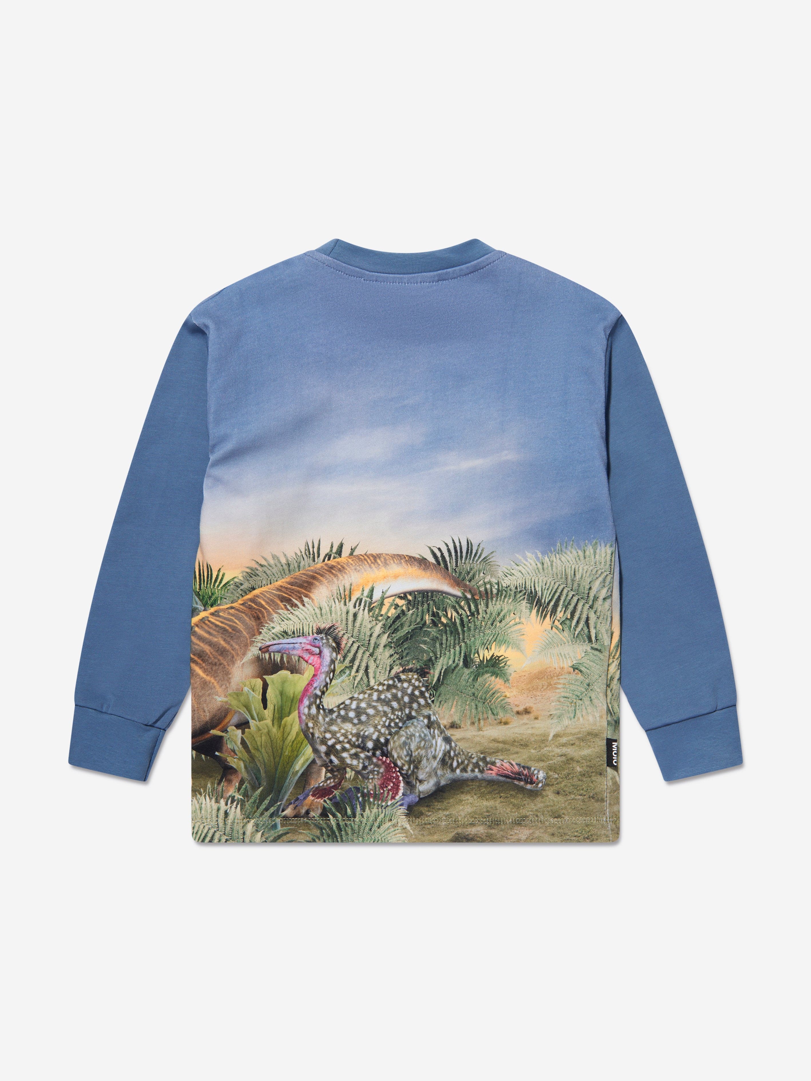 Molo Boys Dino Friends Long Sleeve T-Shirt in Blue