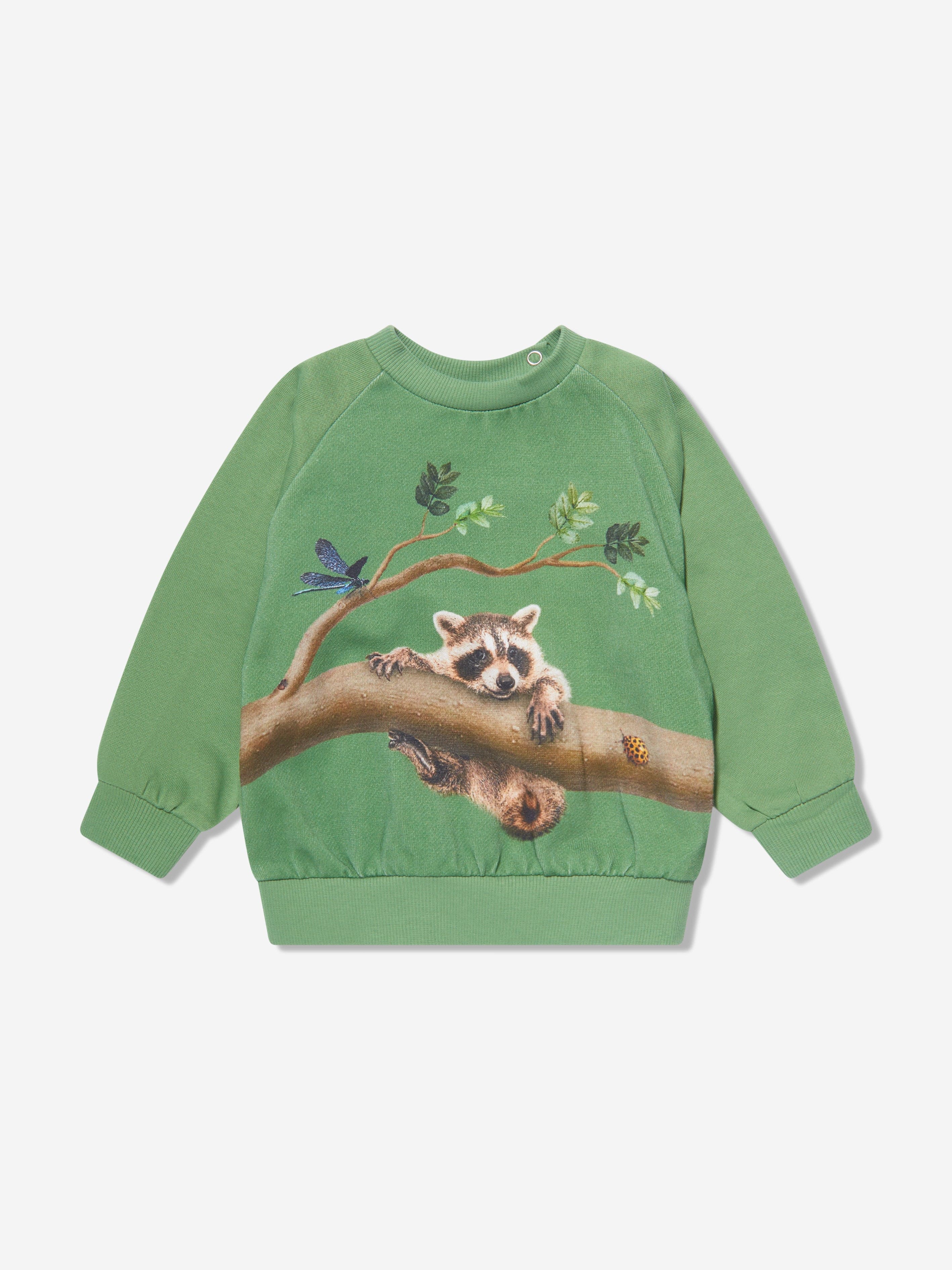 Molo Kids Branch living Sweatshirt in Green