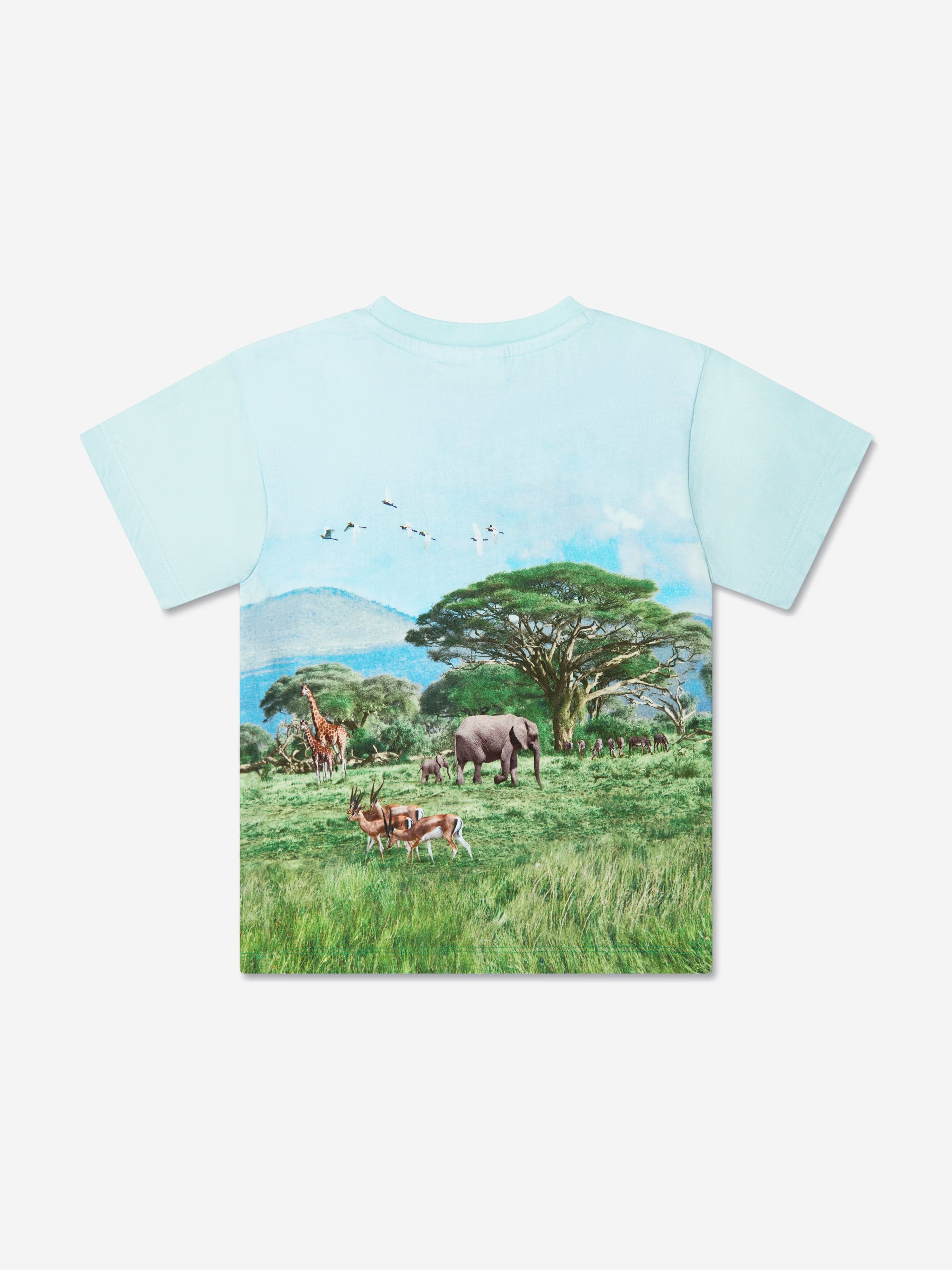 Molo Boys Organic Cotton Raul T-Shirt In Blue