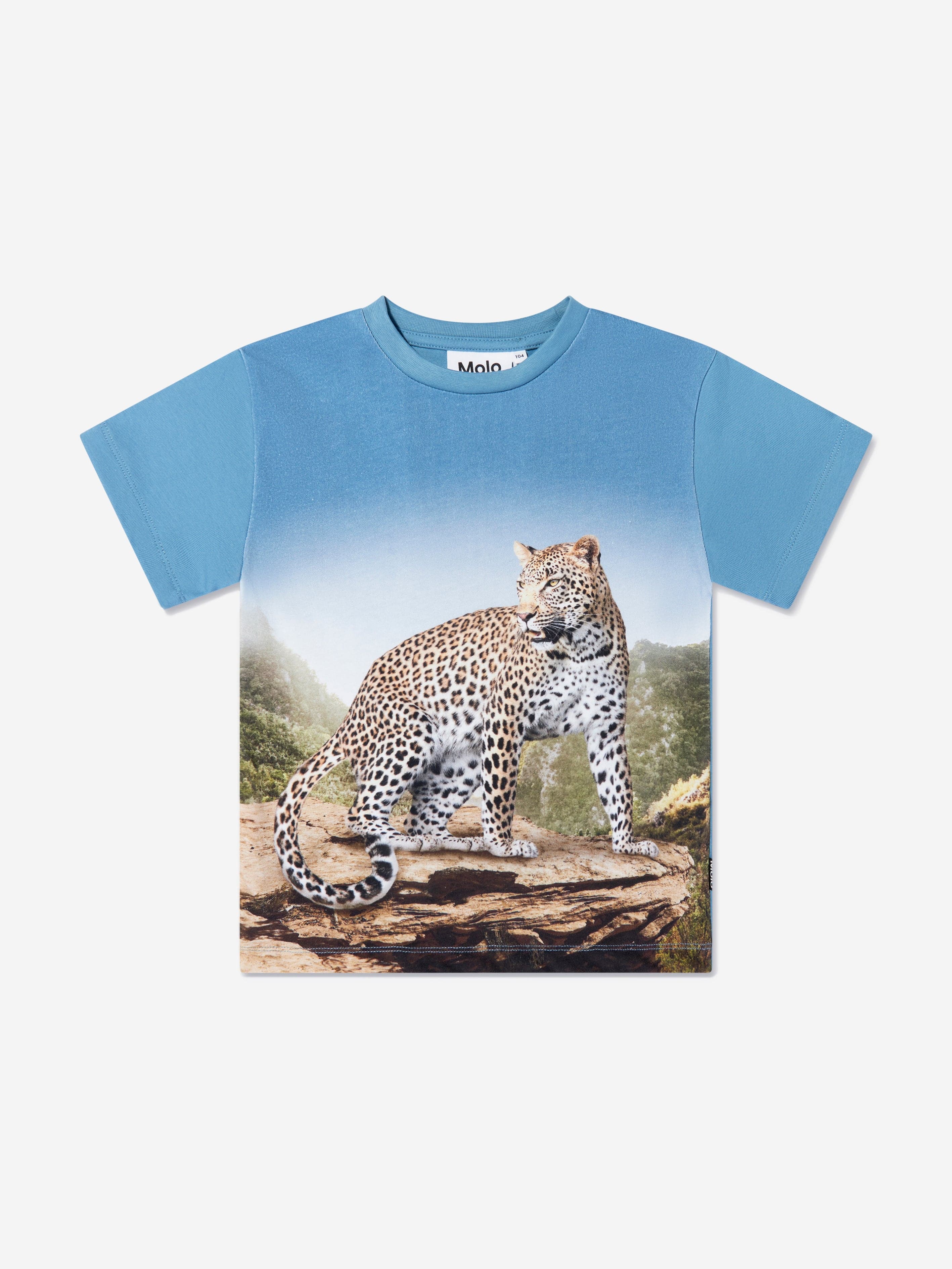 Molo Boys Organic Cotton Rasmus T-Shirt In Blue