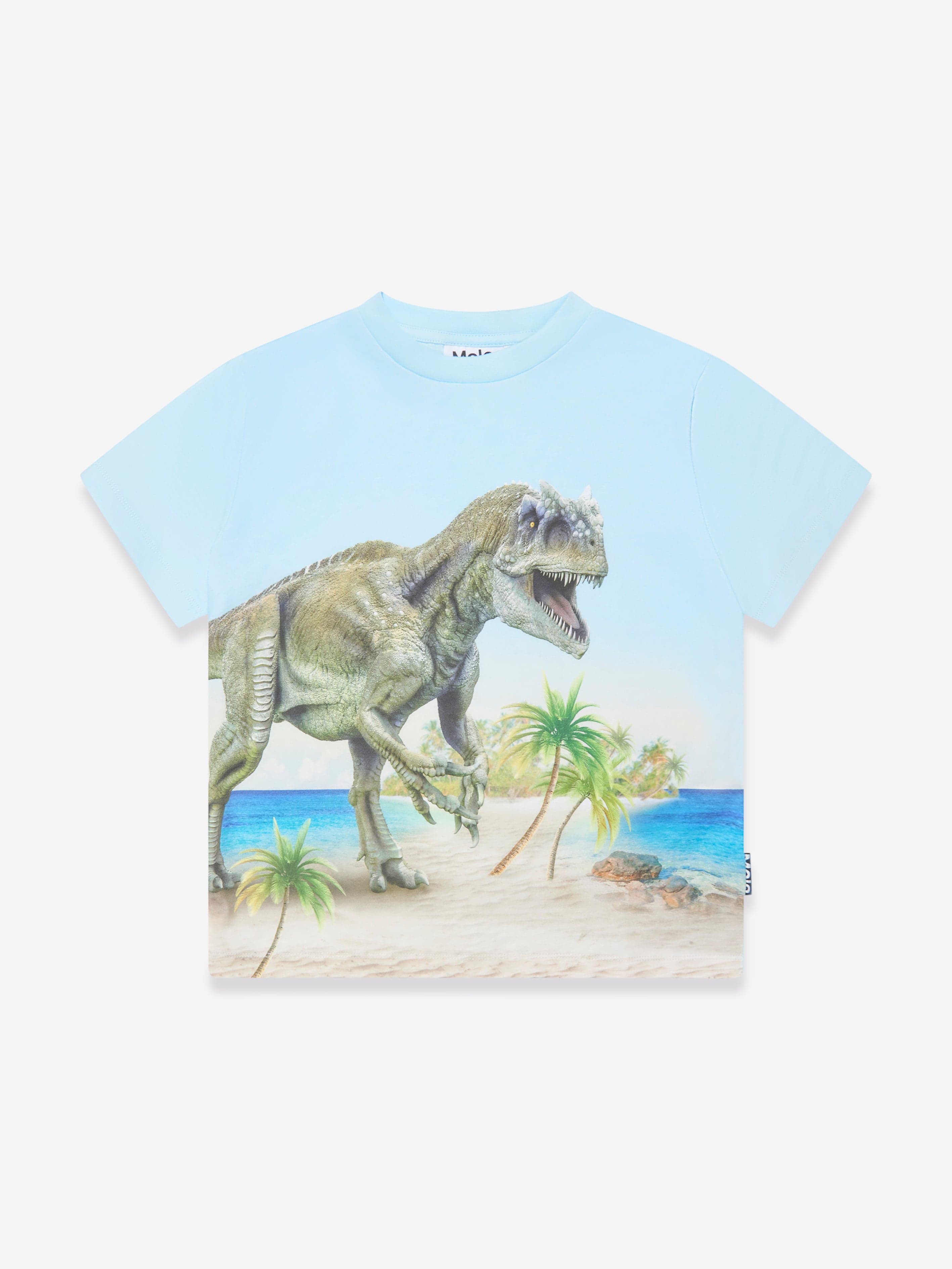 Molo Boys Beach Dinosaur Print T-Shirt in Blue