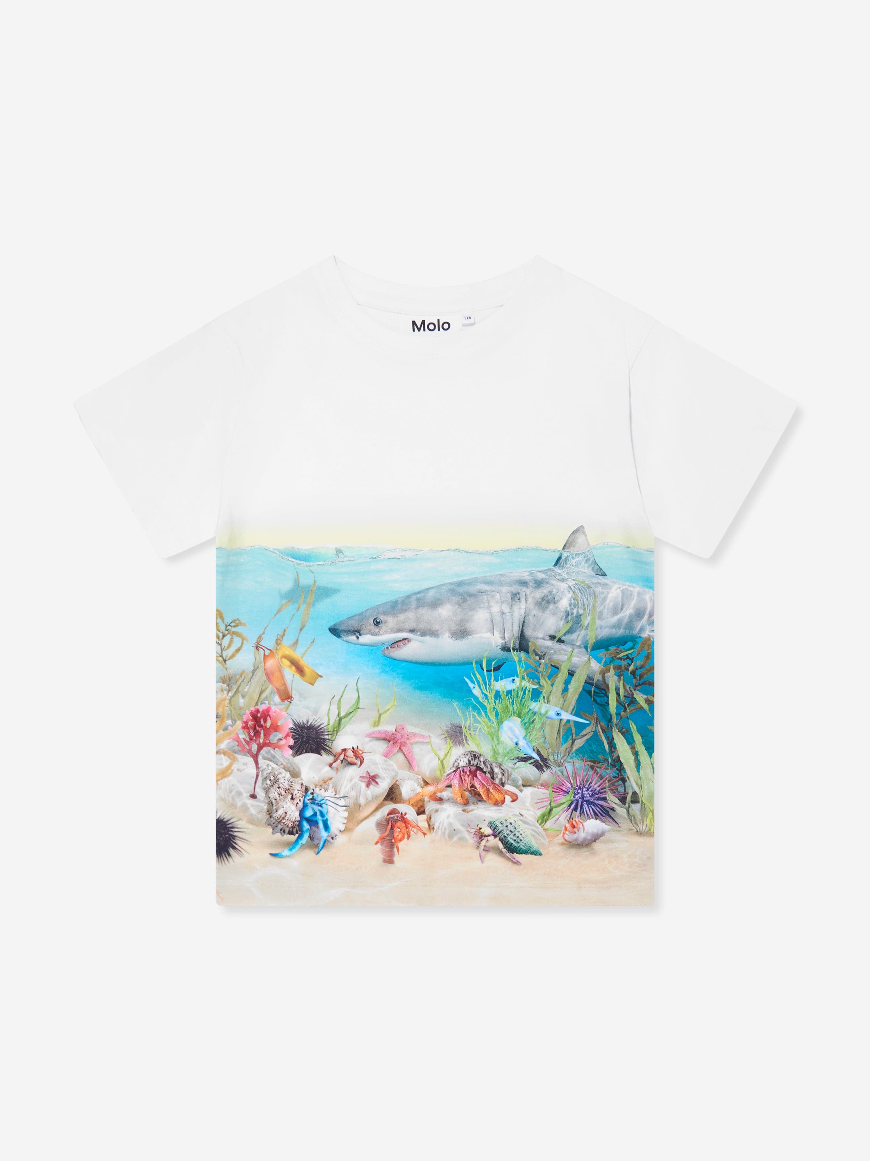 Molo Boys Shark Print T-Shirt in White