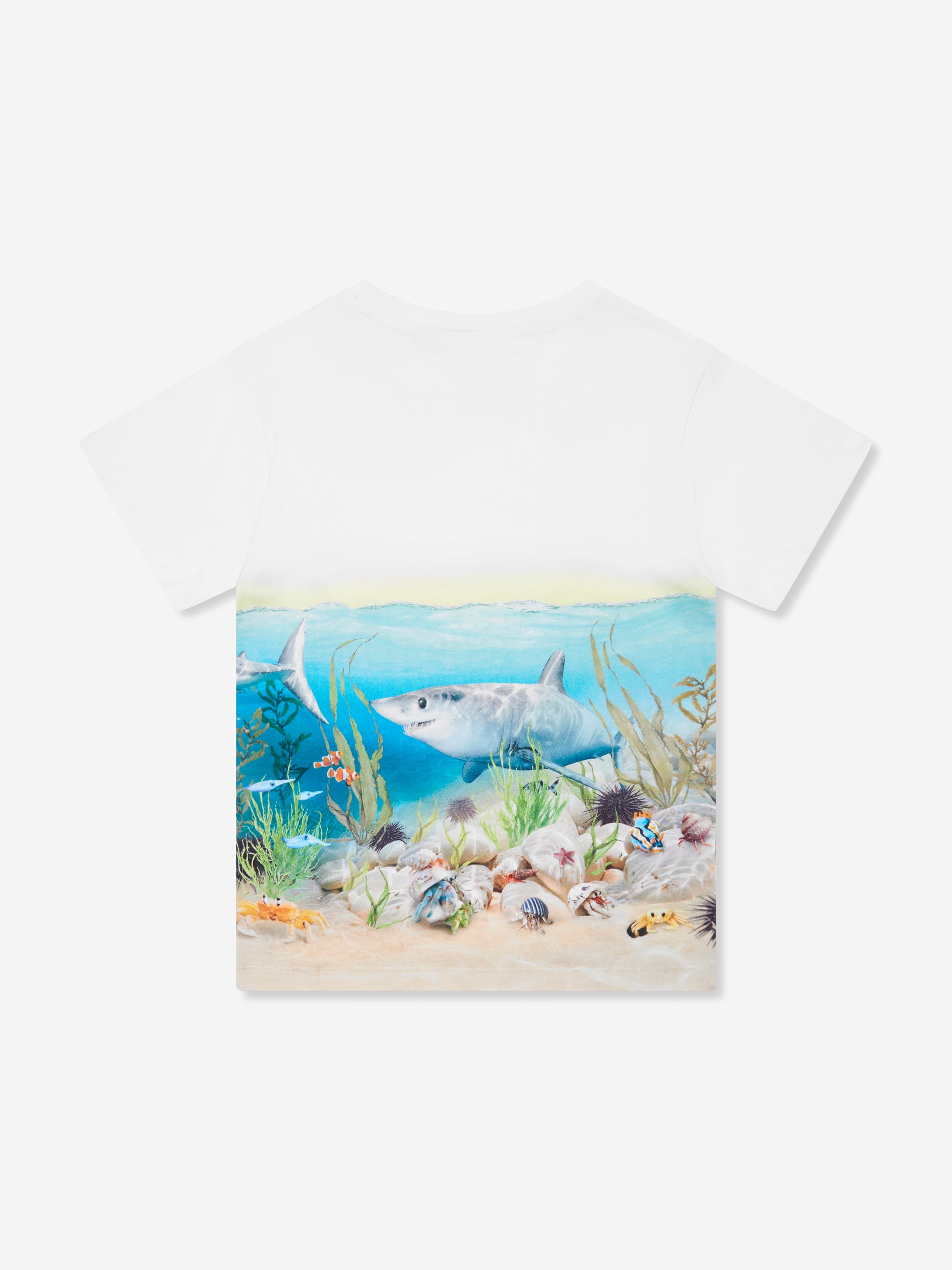 Molo Boys Shark Print T-Shirt in White