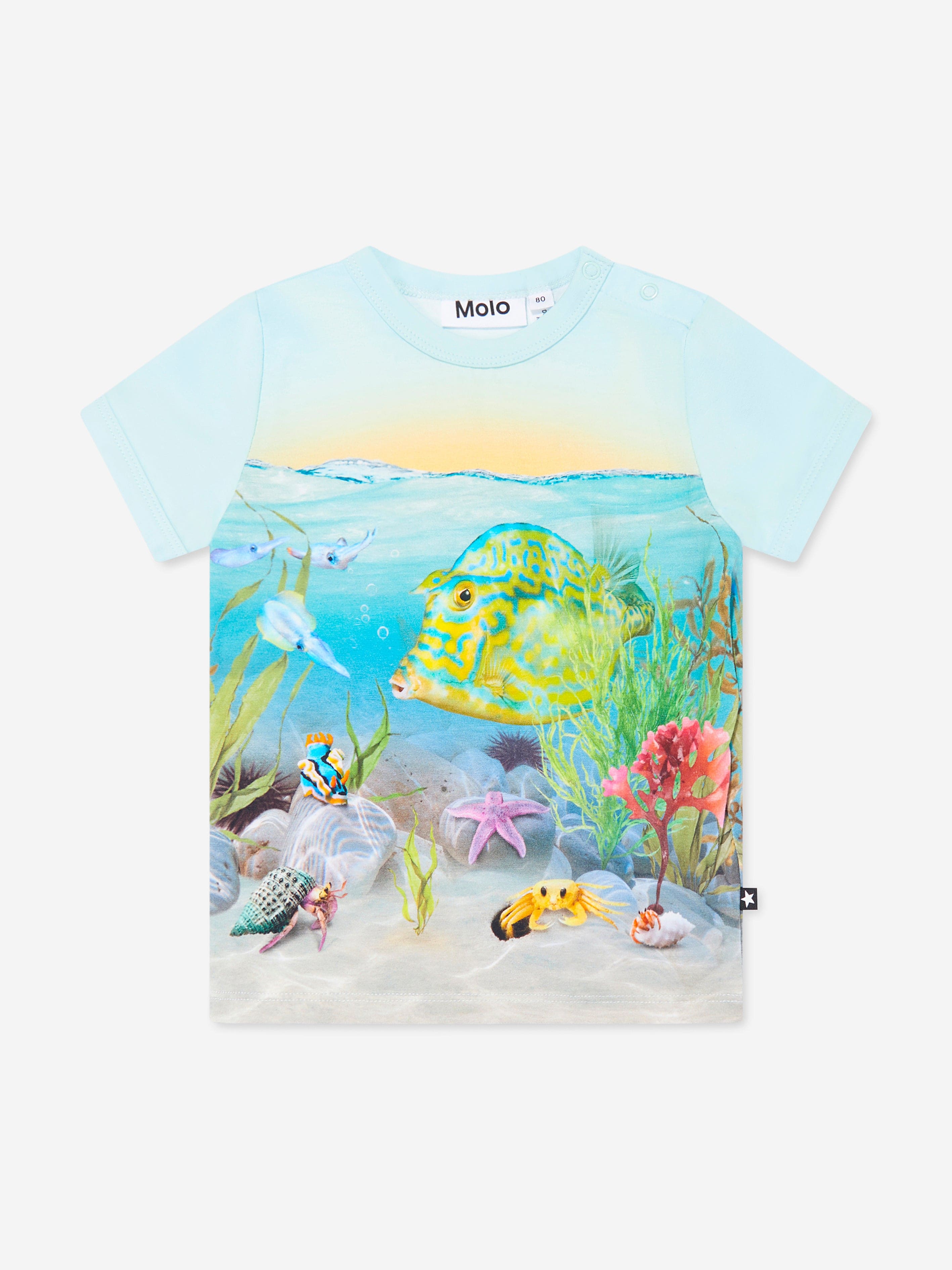 Molo Baby Tropic Sea T-Shirt in Blue